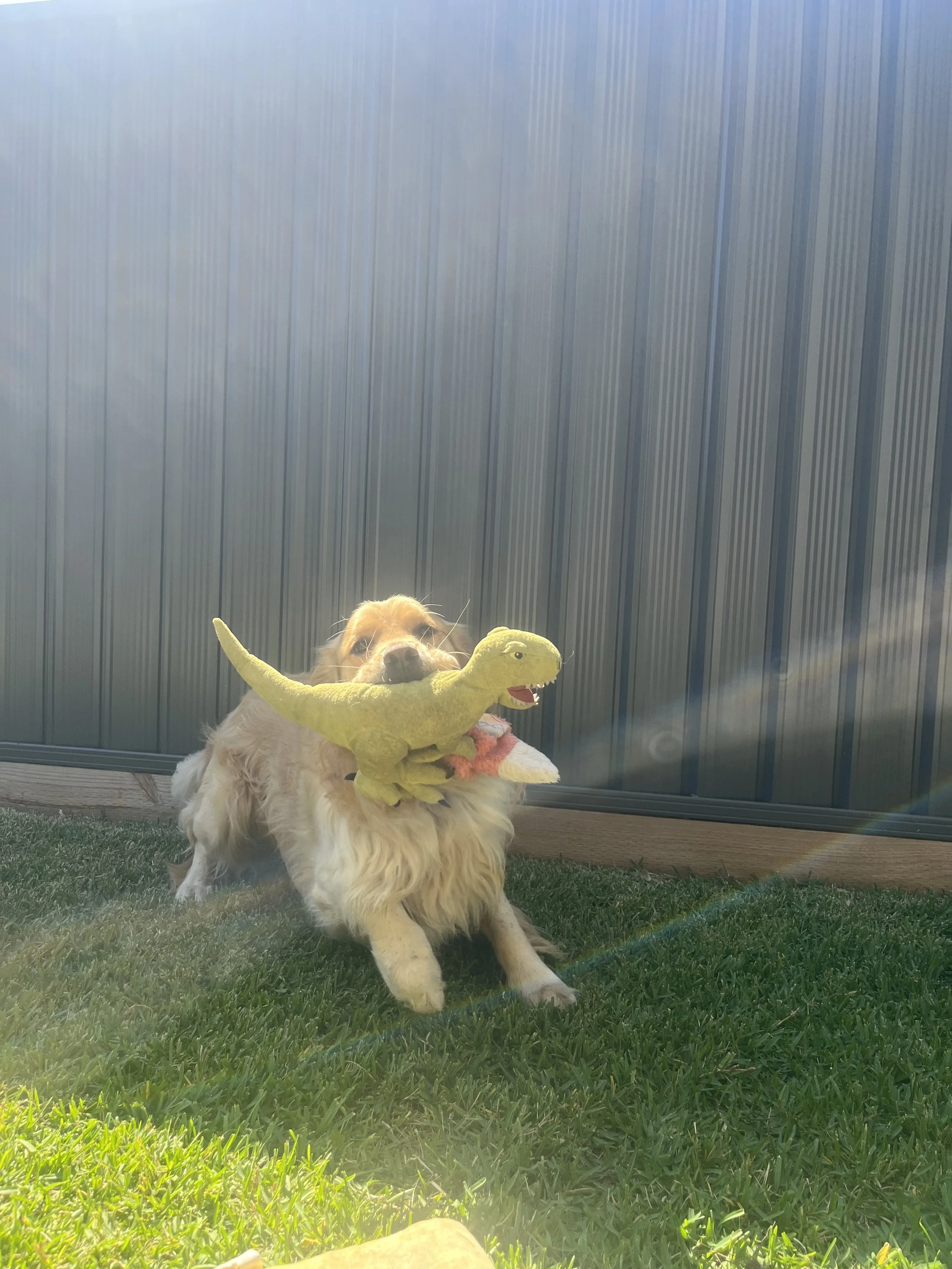 norm with dinosaur .jpg