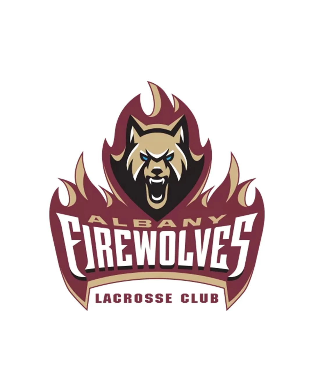 Albany Firewolves Internship