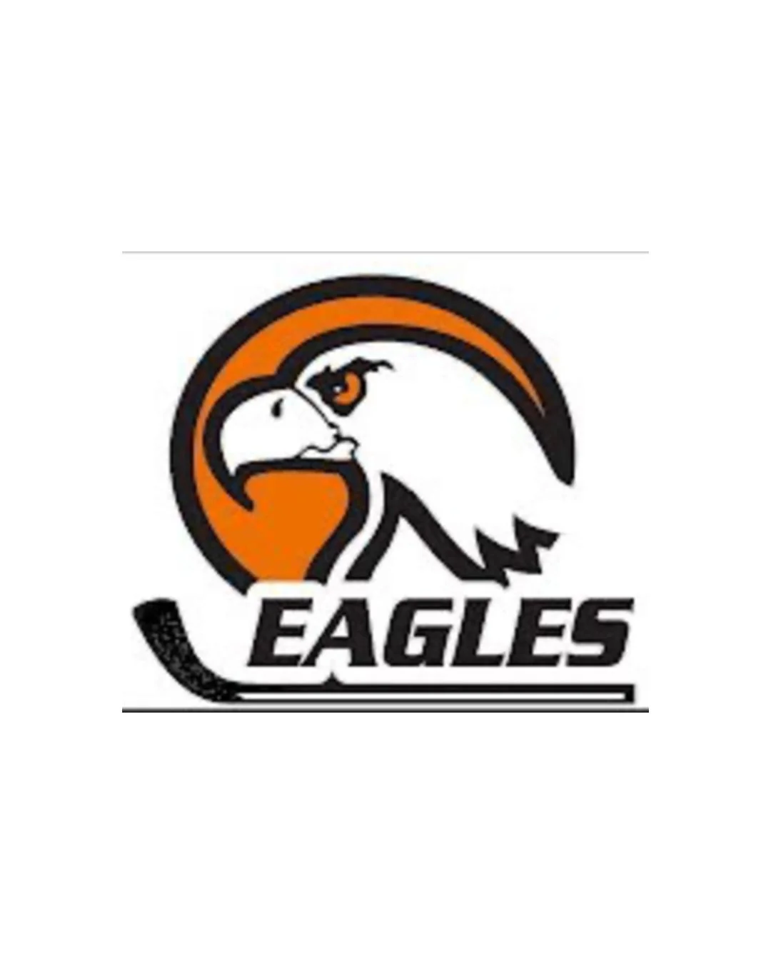 BCHS Varsity Hockey