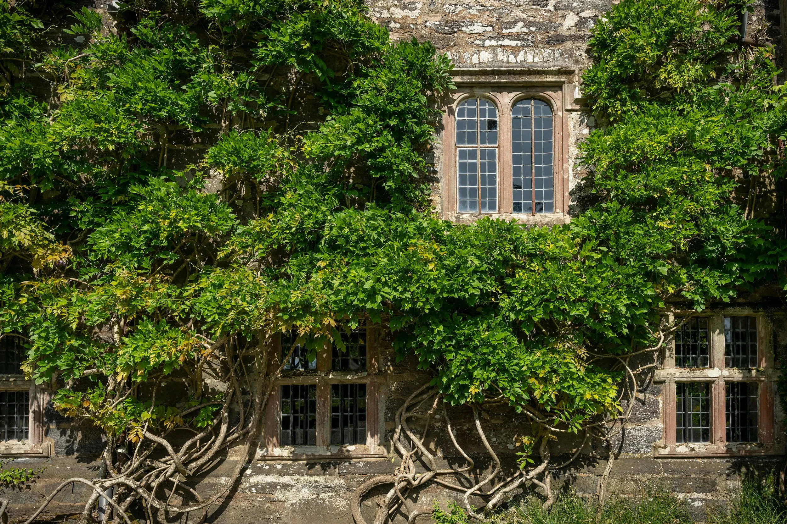 CJP Gwydir Castle - May 2026-183.jpg