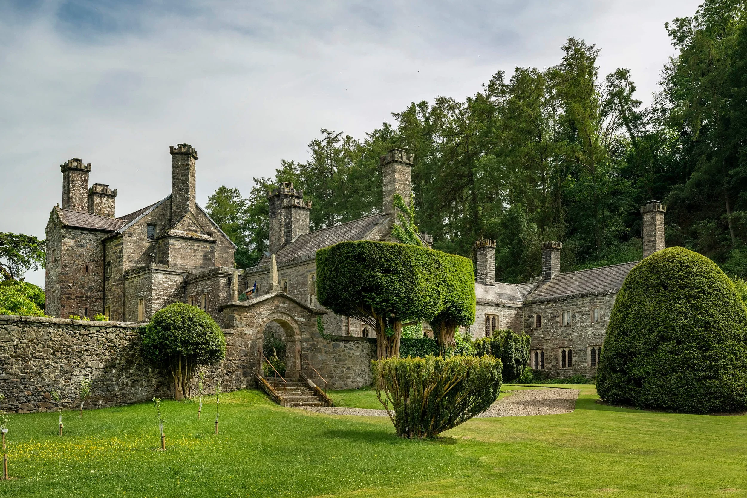 CJP Gwydir Castle - May 2026-283.jpg