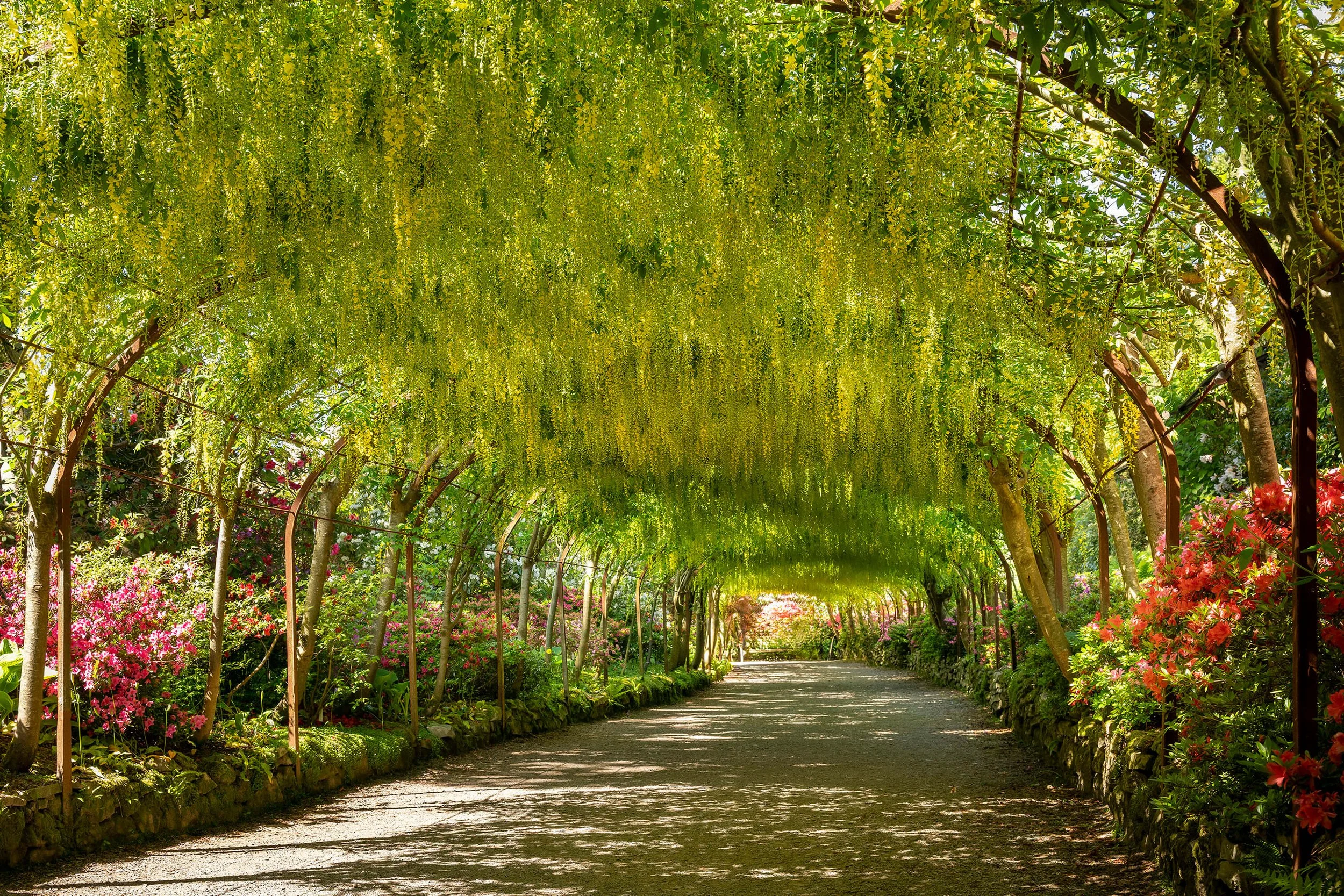 Christopher John - Bodnant garden