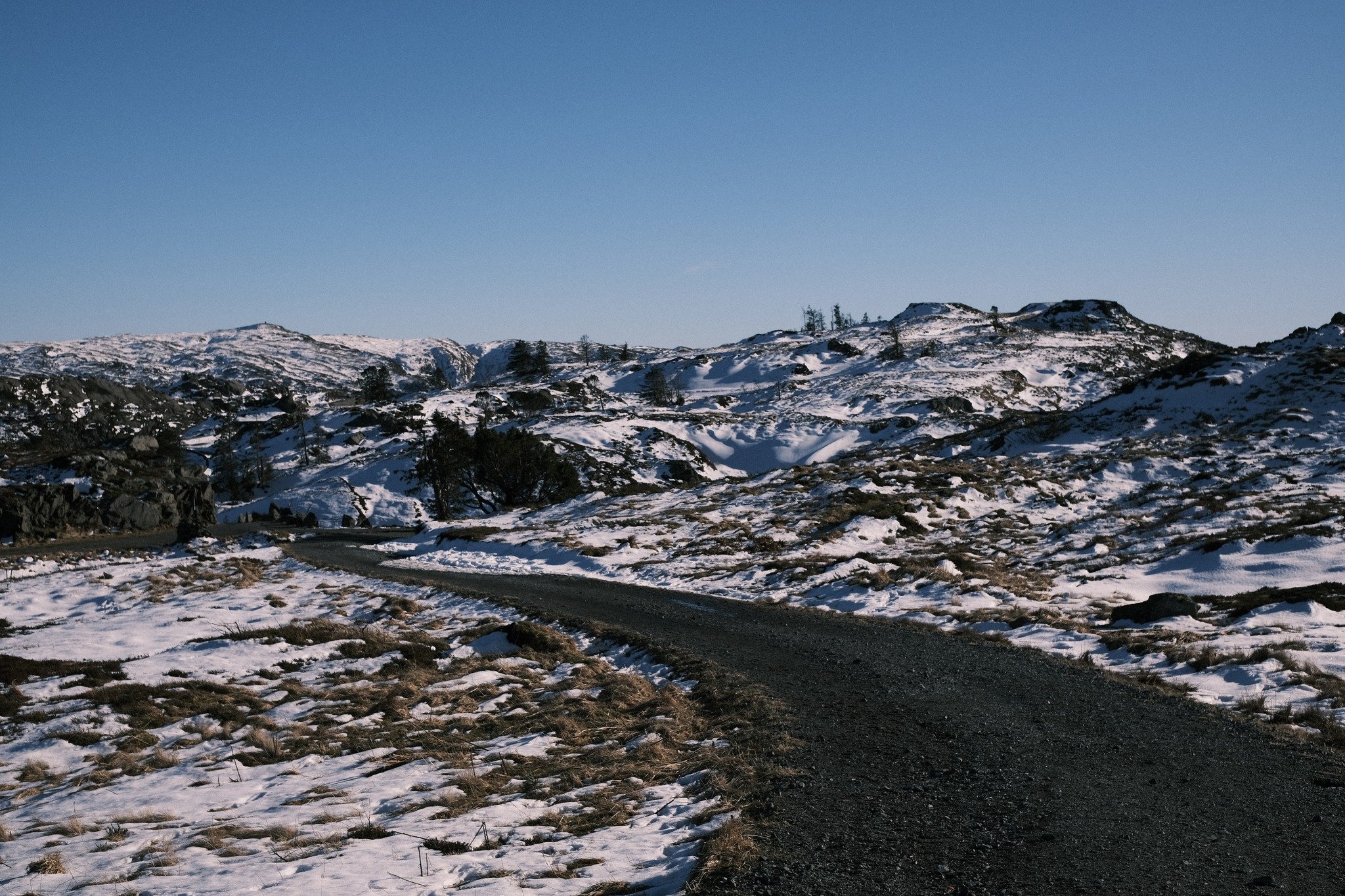 Frosty Crossroads
A signpost stands at the crossroads, offering choices to wanderers in Norway&rsquo;s vast, snowy embrace.
📷 Fujifilm X-T30 II
__
#NorwegianCrossroads #FrostyDirections #WanderersChoices #SnowyEmbrace #IntrovertedPhotographer #Norge