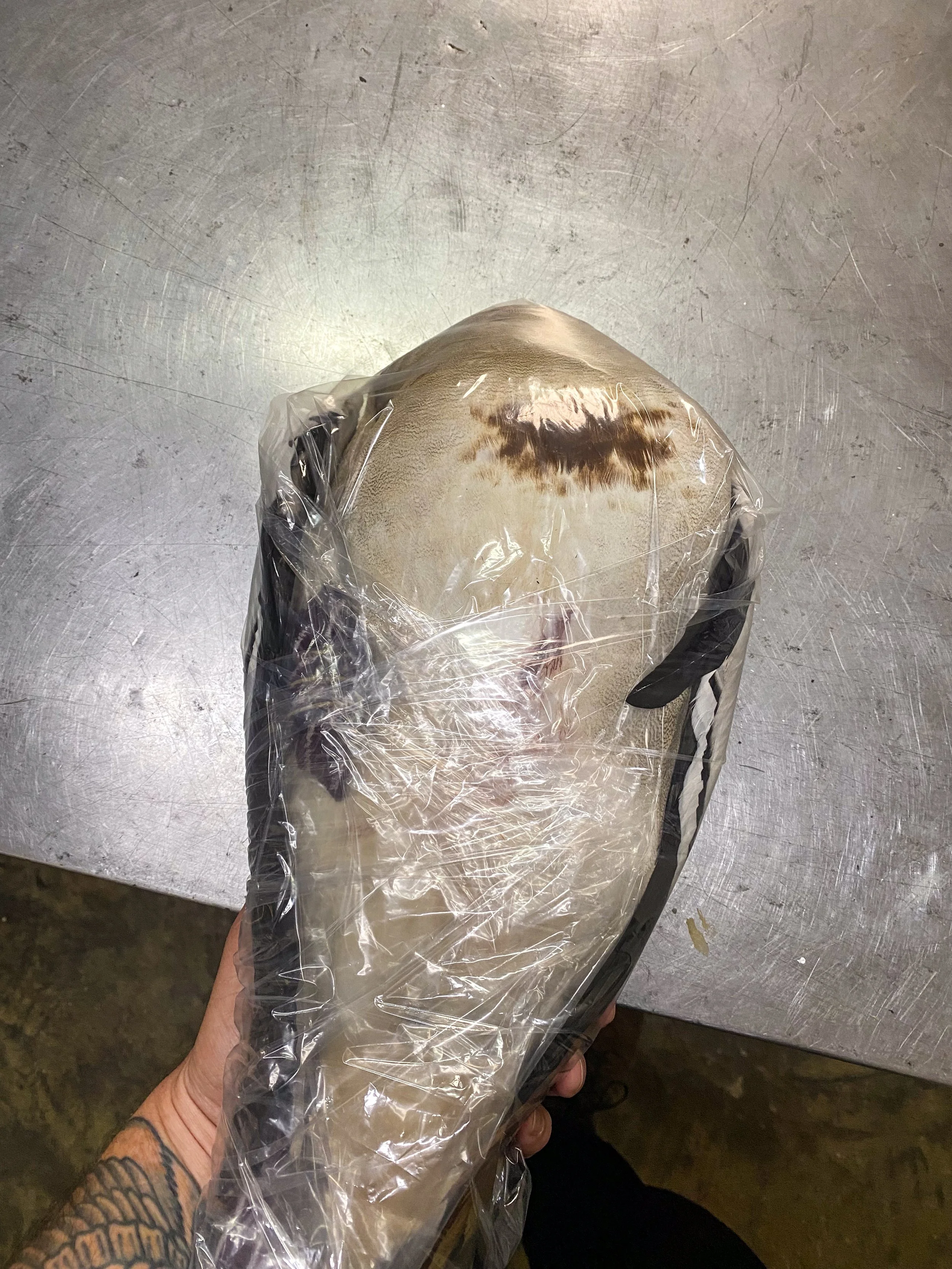 Wrap it carefully and securely to keep feathers in place and feather tips safe.