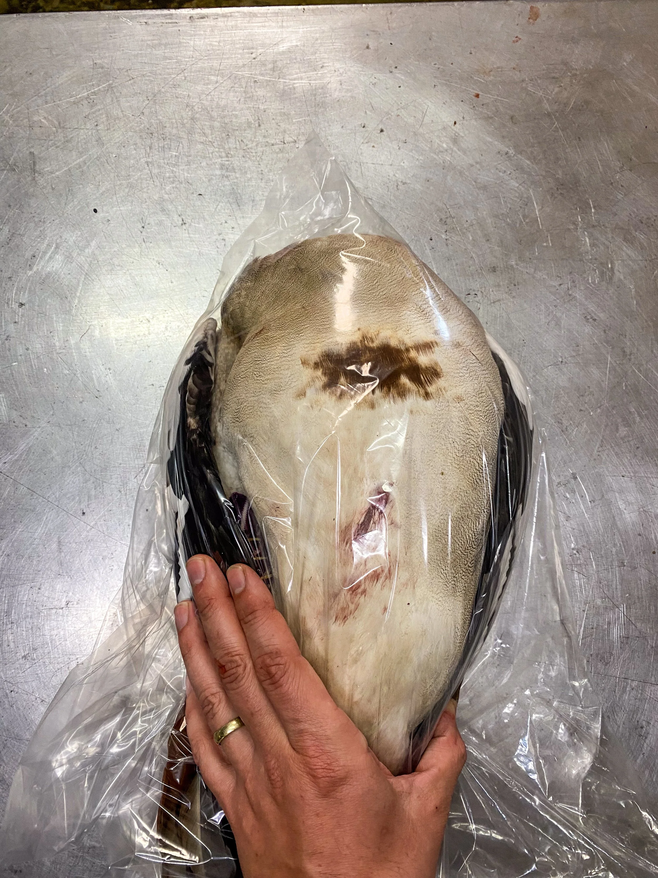 Tuck into the corner of a plastic bag.