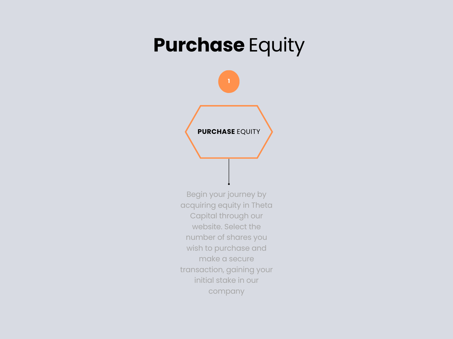 Equity Share -  Theta Capital