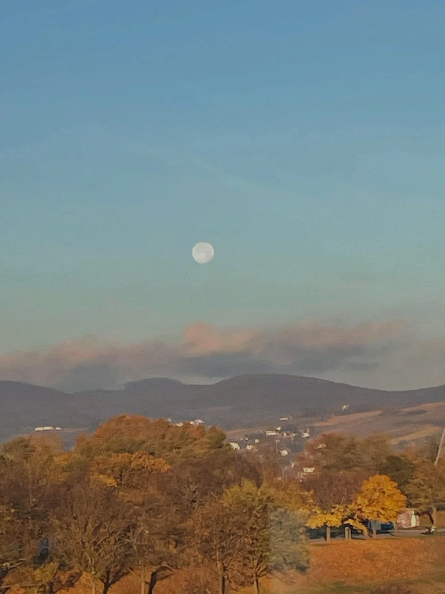 November: Wild. Intensiv. Sch&ouml;n.

#november #moments zwischen #coachings #femalebusiness #supervision #workshops #beratung #schnee #sonne #blumen #nebel #newbusiness #cooperation #femalementoring #waldhaus #konzerthaus #adventkranz