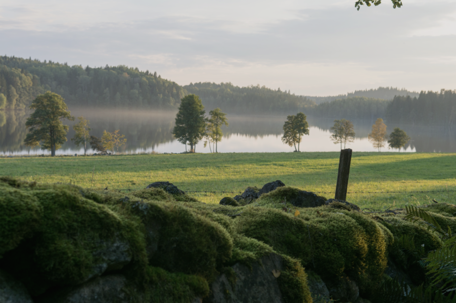 Skärmavbild 2026-01-20 kl. 10.15.00.png