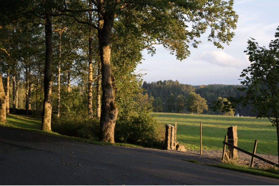 Skärmavbild 2026-01-20 kl. 10.16.48.png