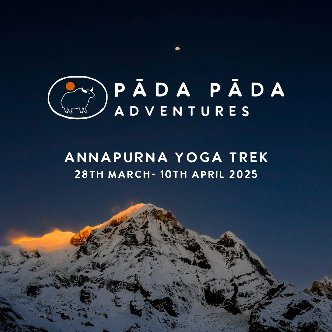 Sunrise on the Annapurna Yoga Trek

Trek through the stunning Himalayas with expert guide @mike_napier_photos_and_guiding  and enjoy grounding yoga sessions with @rach.hikes.yoga , all while supporting a small, sustainable business. This unique journ