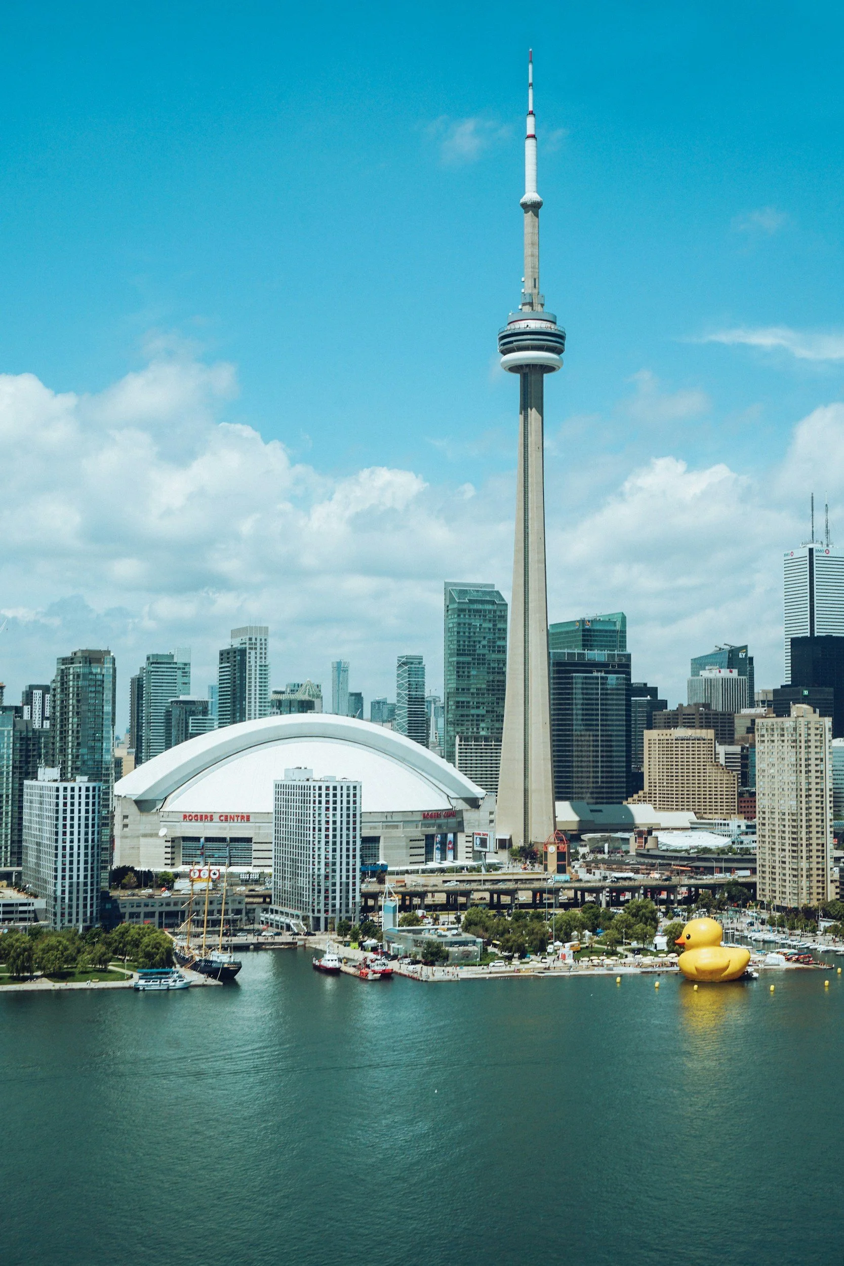 Canadian Business Plan Writing