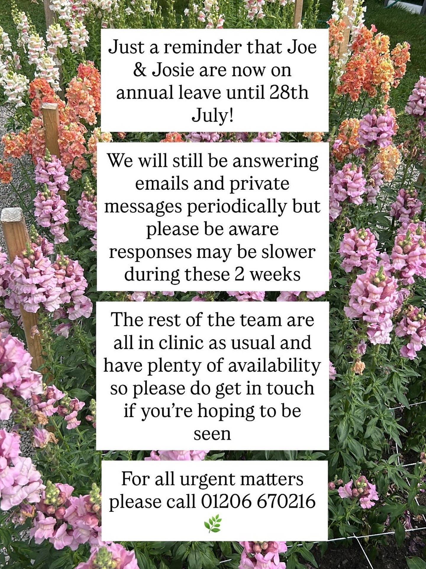🙌☀️🌿