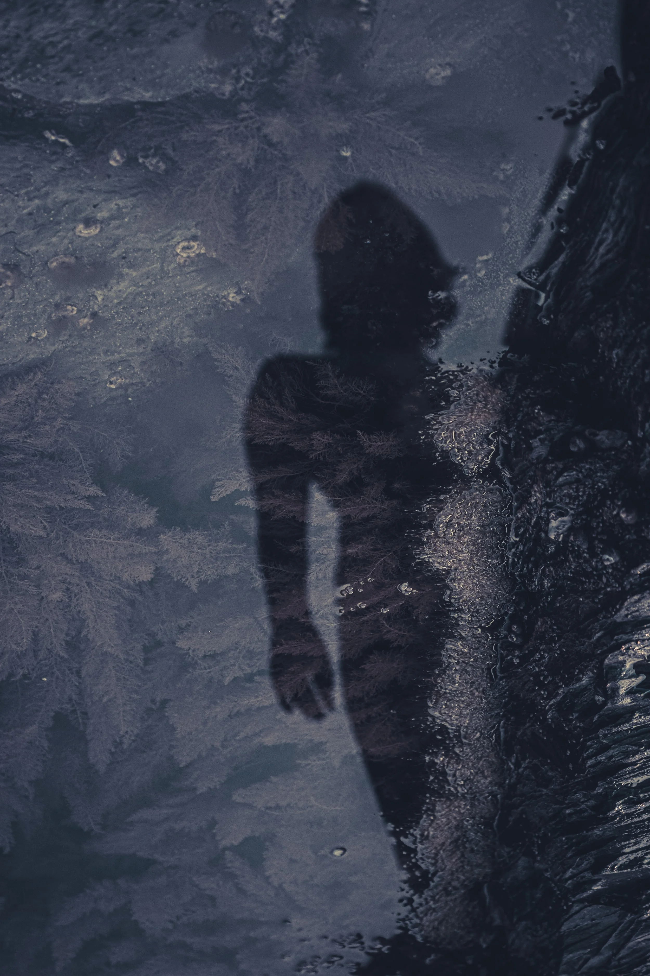 soul series abundance