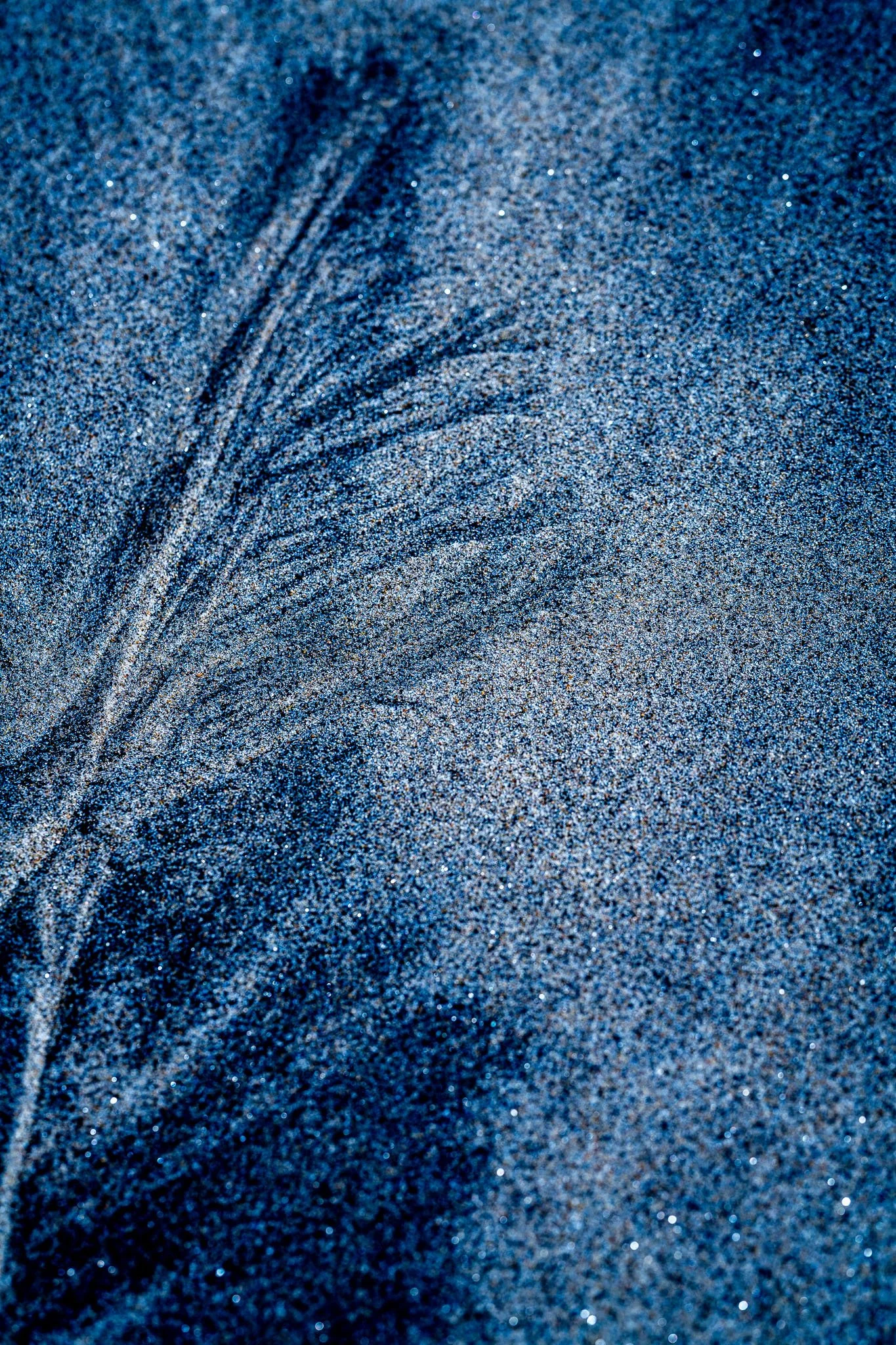 Koolscty - Beach.jpg