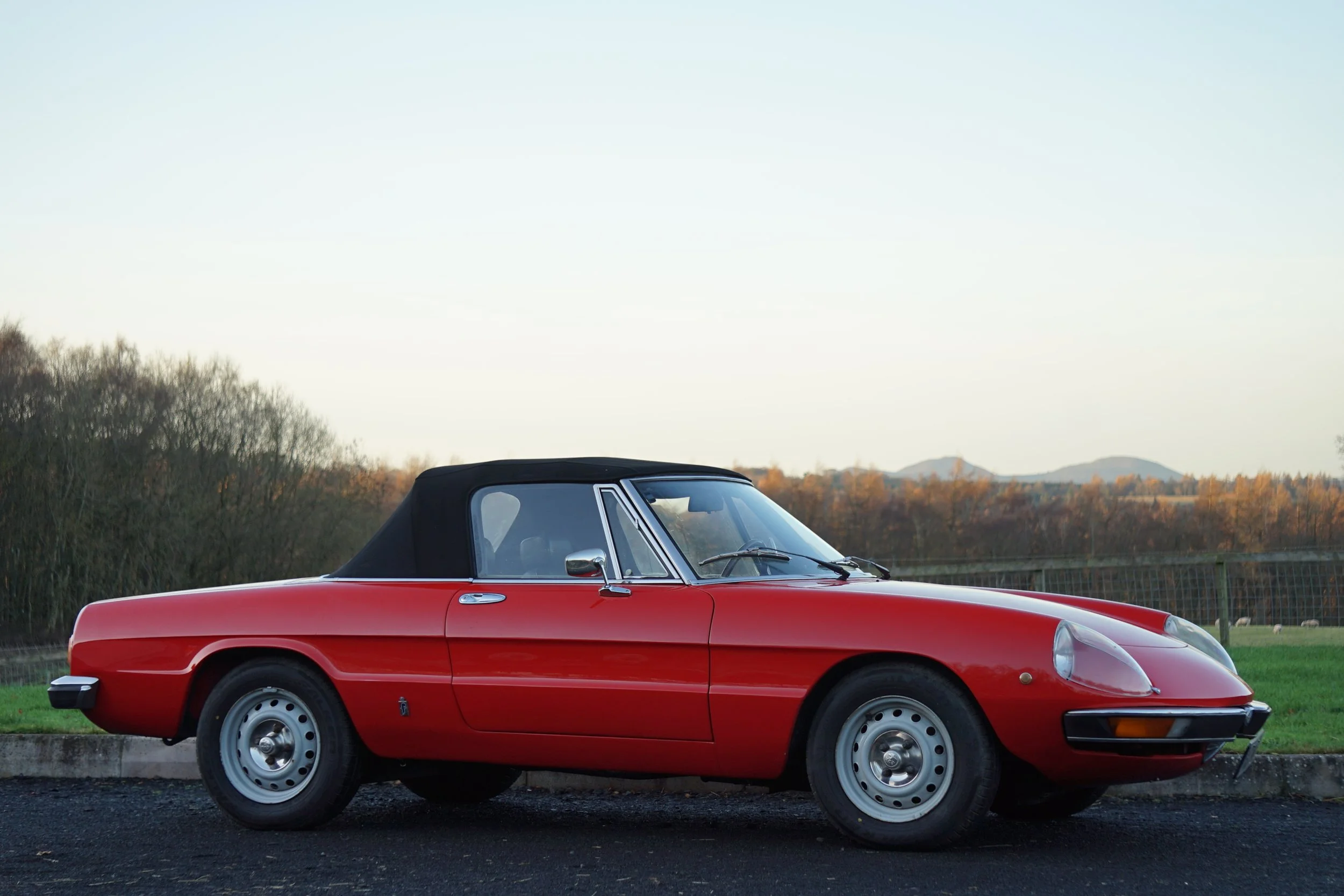 1981 Alfa Romeo Spider 2000