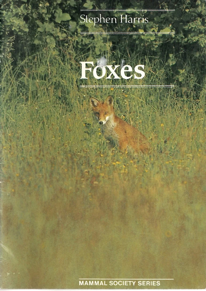 Foxes (e-book)