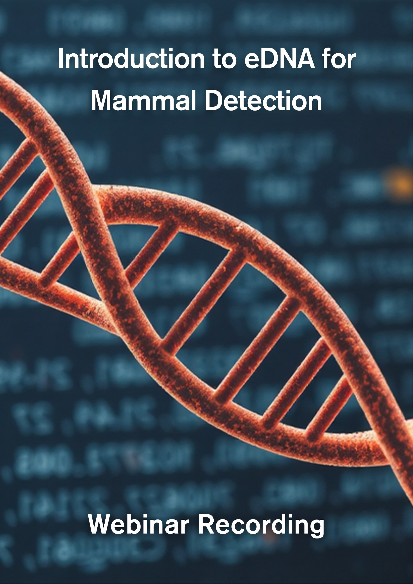 On demand posters.png