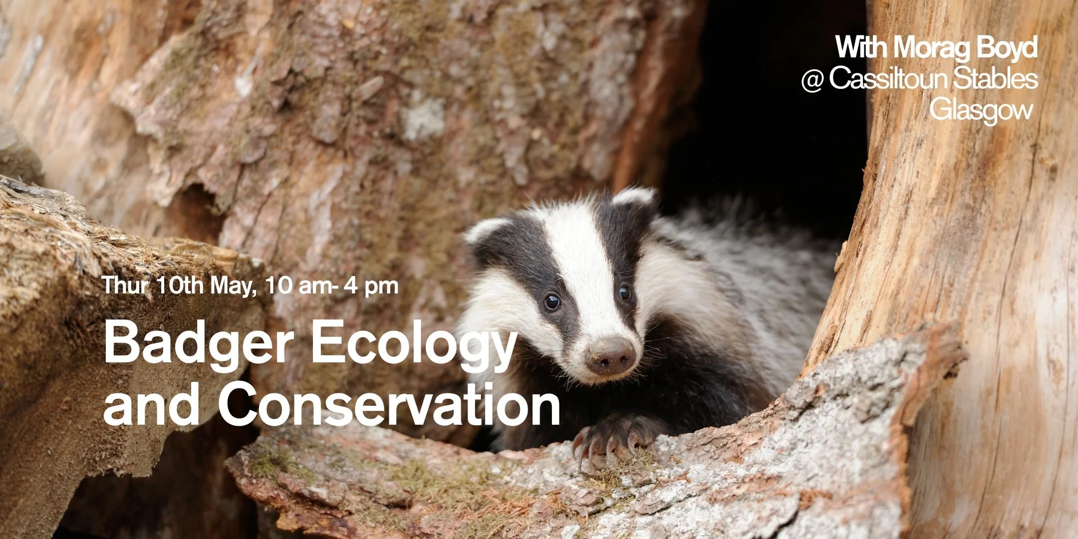 Badger Ecology and Conservation (Glasgow) — Mammal Society