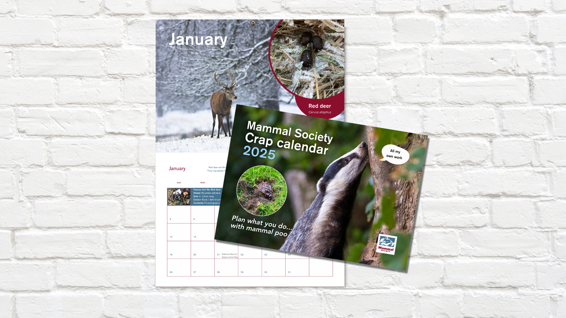 MS Crap Calendar preview.png