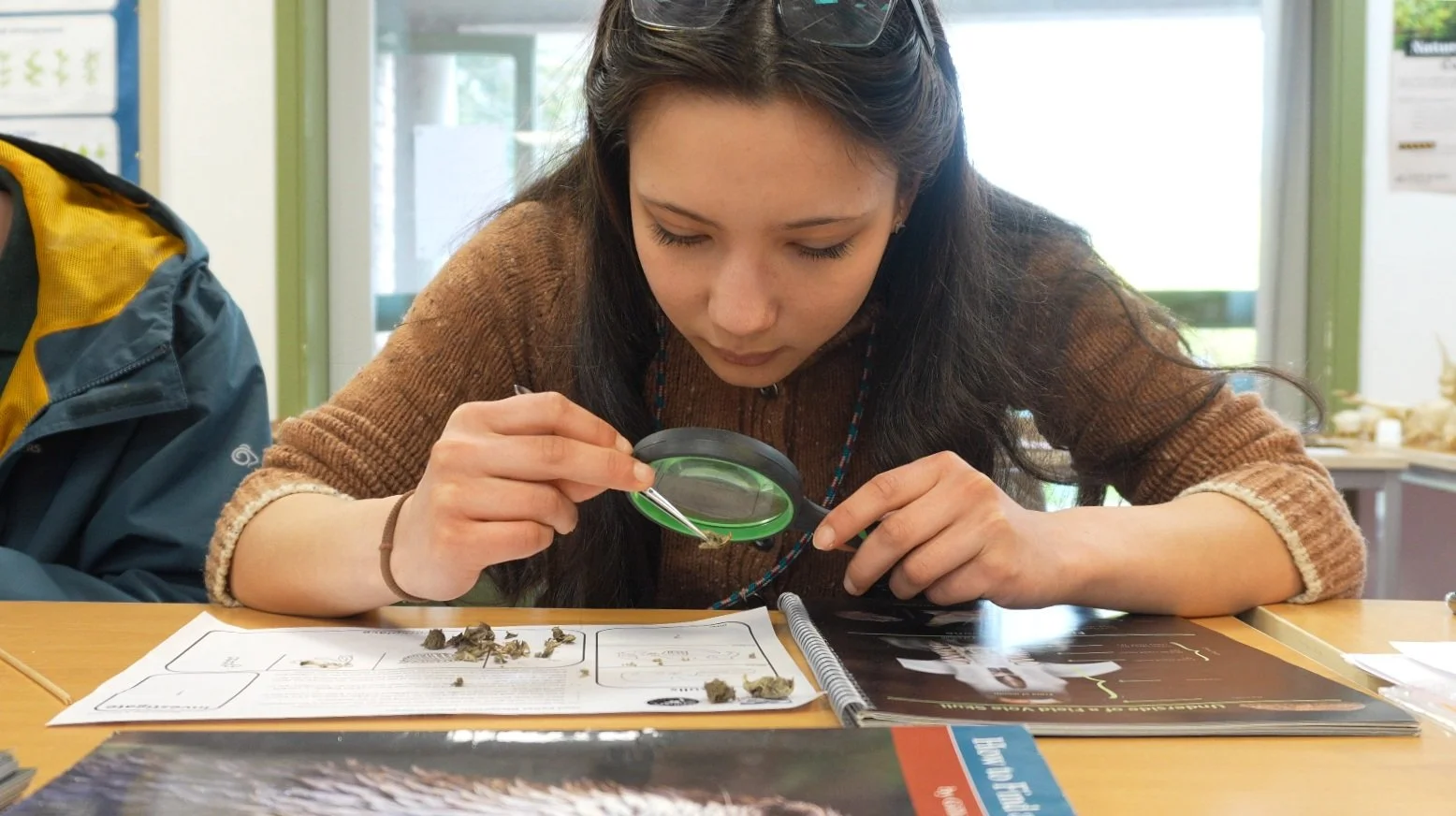 Cross-sector concerns about decline of fieldwork opportunities in UK life science courses