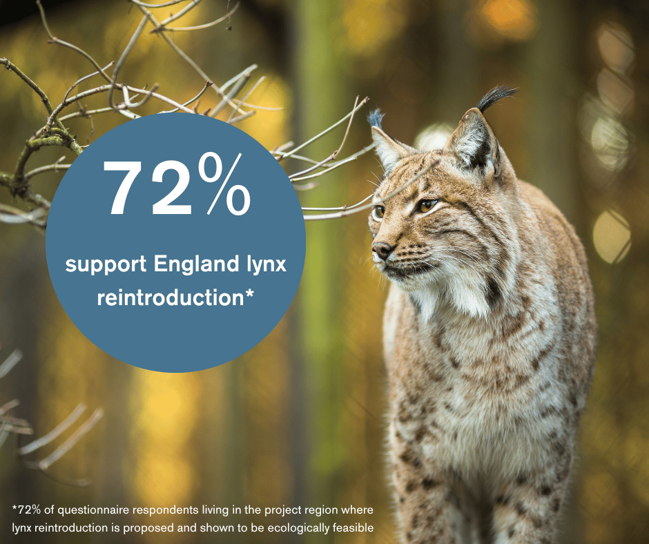 New research shows Northerners and people of Scottish borders support reintroducing lynx to the region