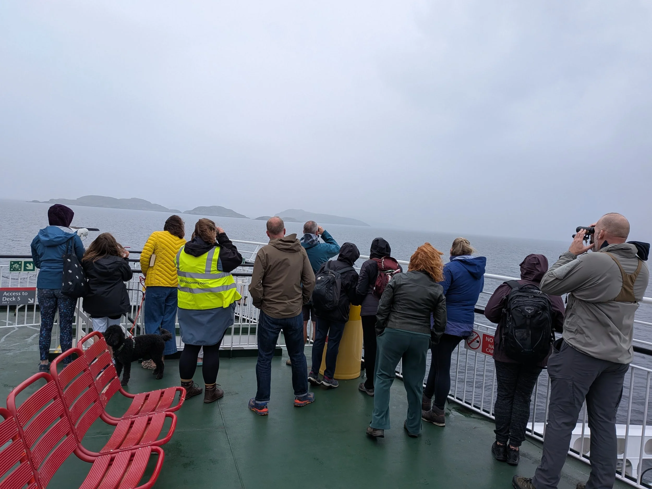 Ferries, Fins, and First Sightings