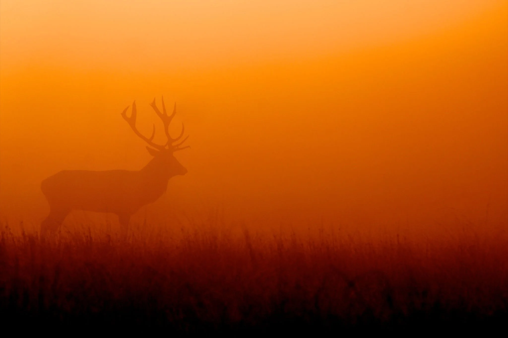 Should nature sector organisations speak out on social justice issues?