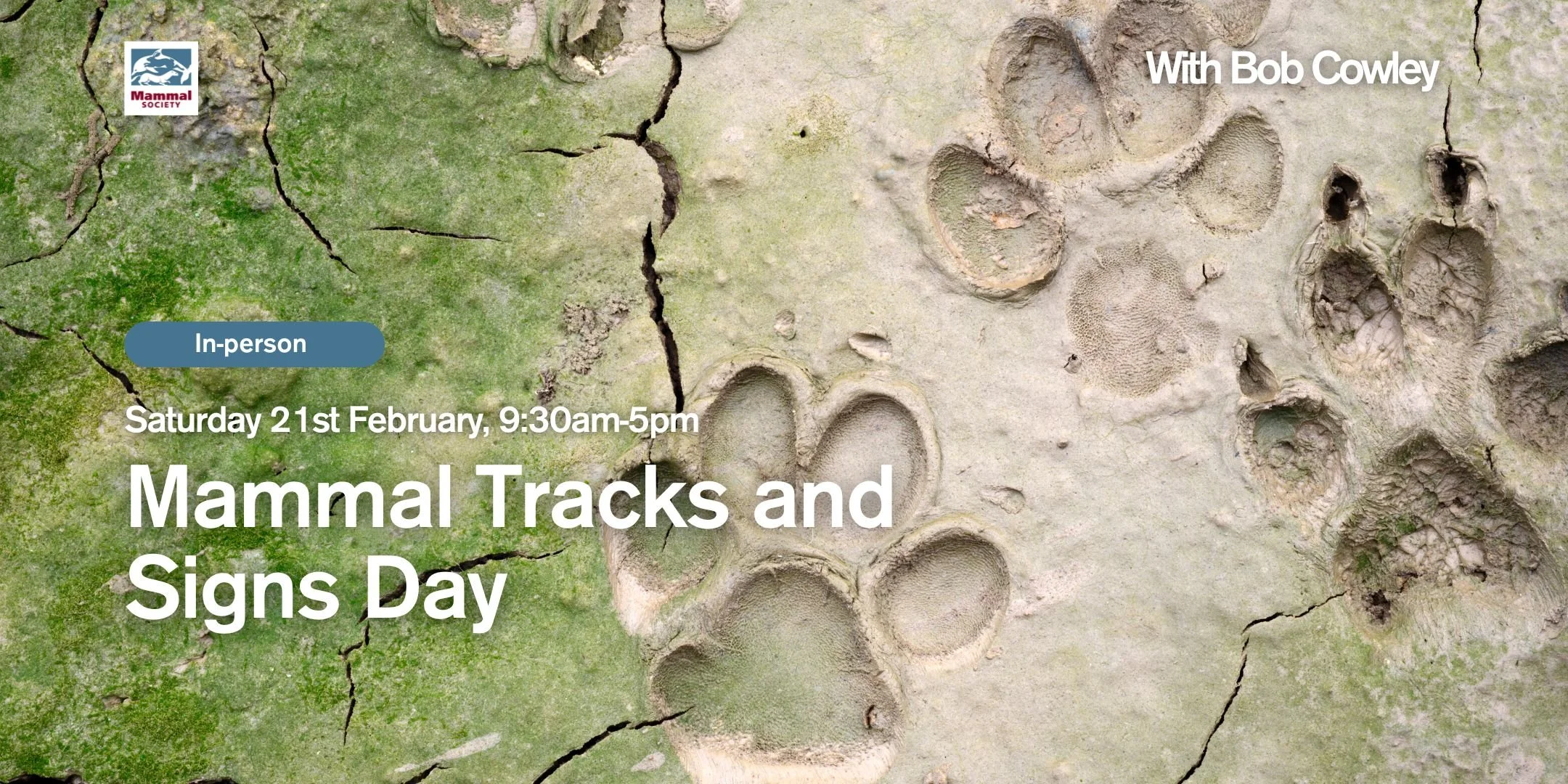 Mammal Tracks and Signs Day