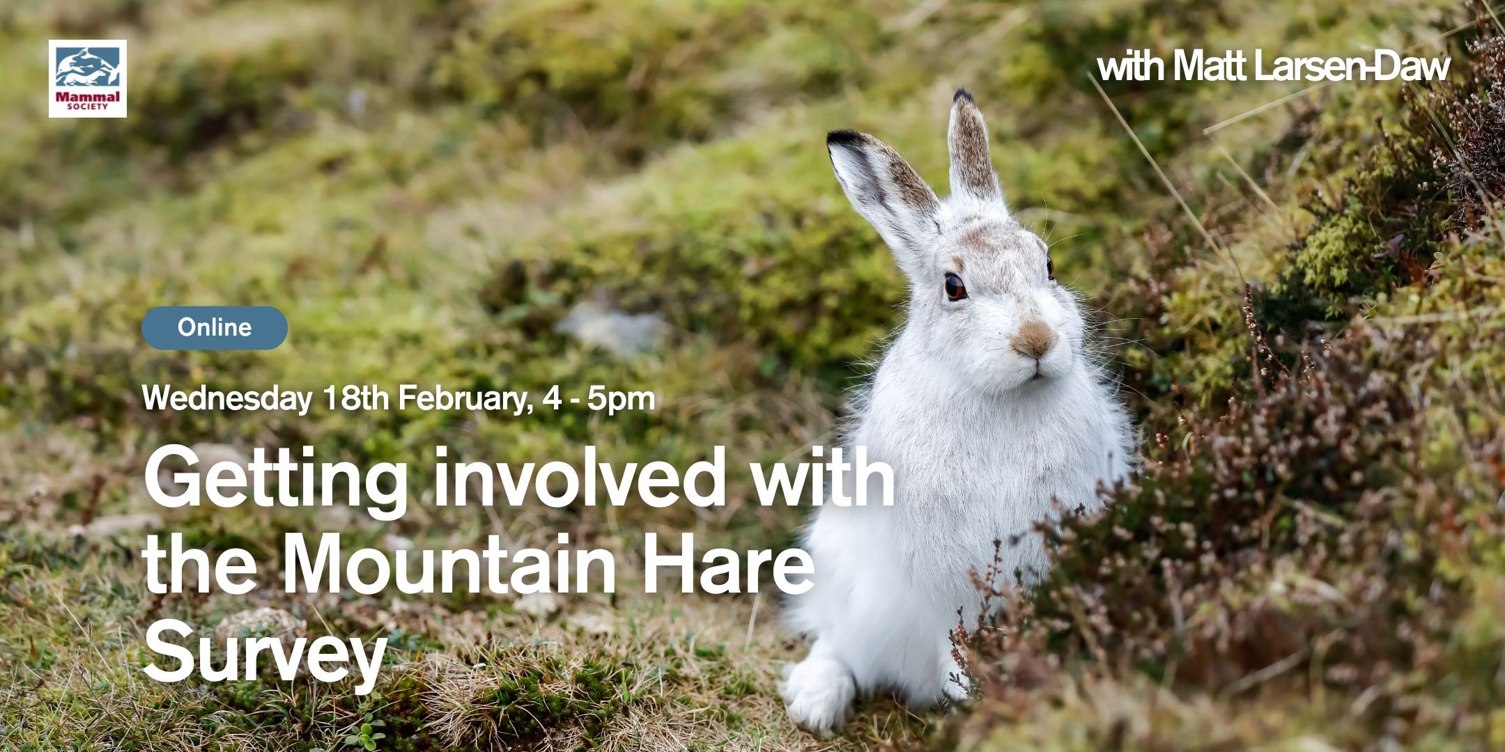 Getting Involved with the Mountain Hare Survey