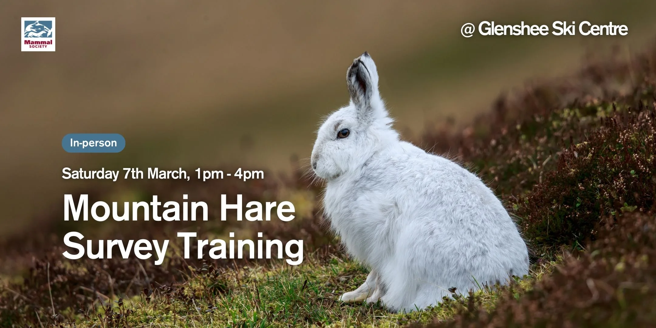 Mountain Hare Survey (in-person) Training