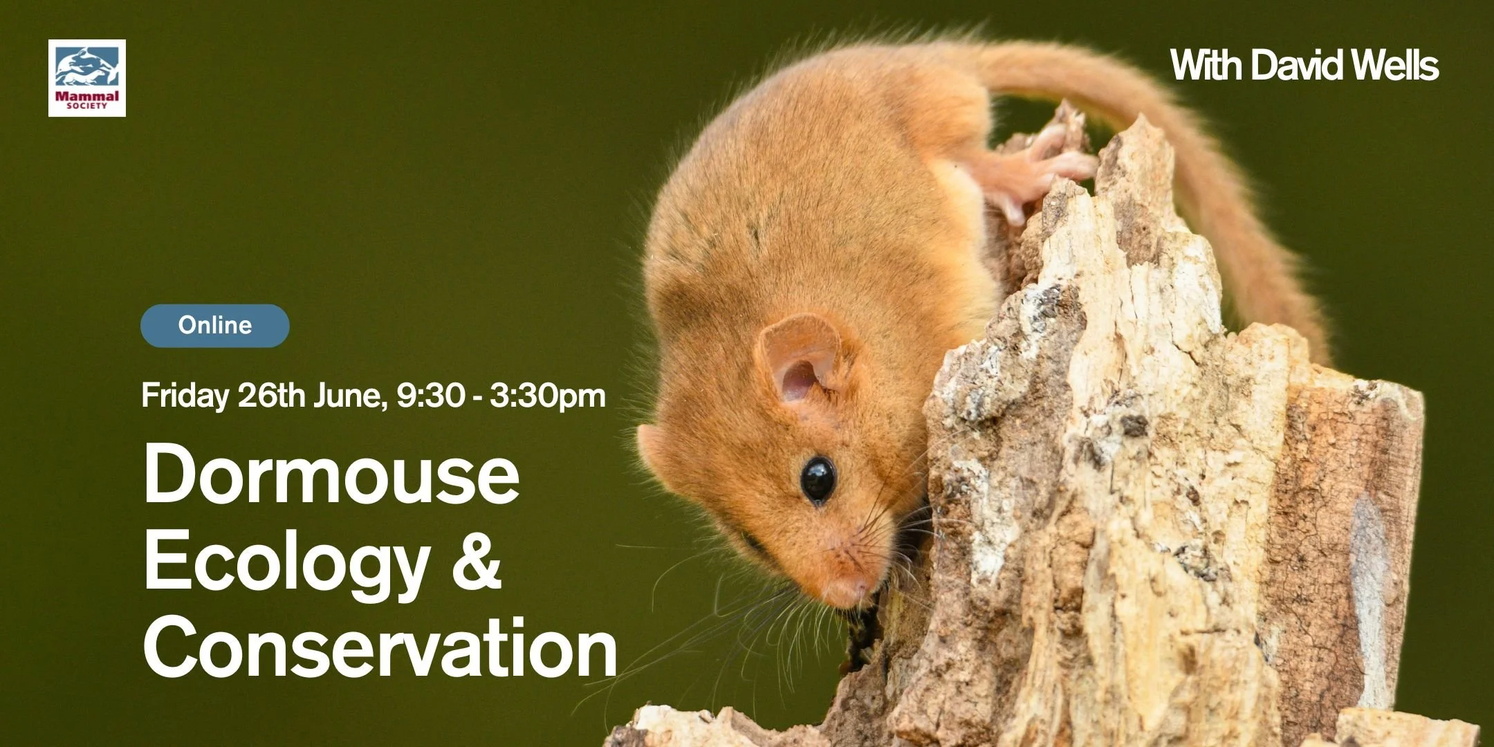 Dormouse Ecology and Conservation (online) 
