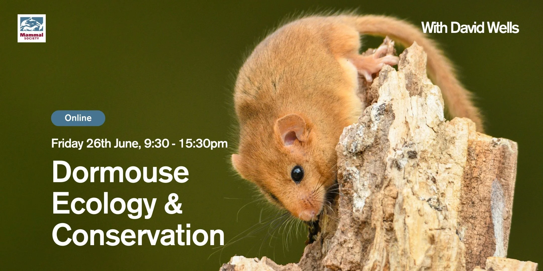 Dormouse Ecology and Conservation (online) 