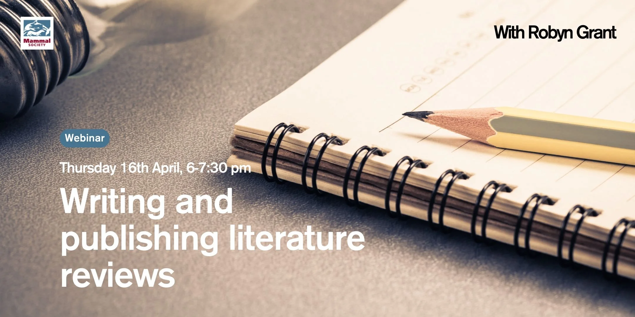 Writing and Publishing Literature Reviews (online)