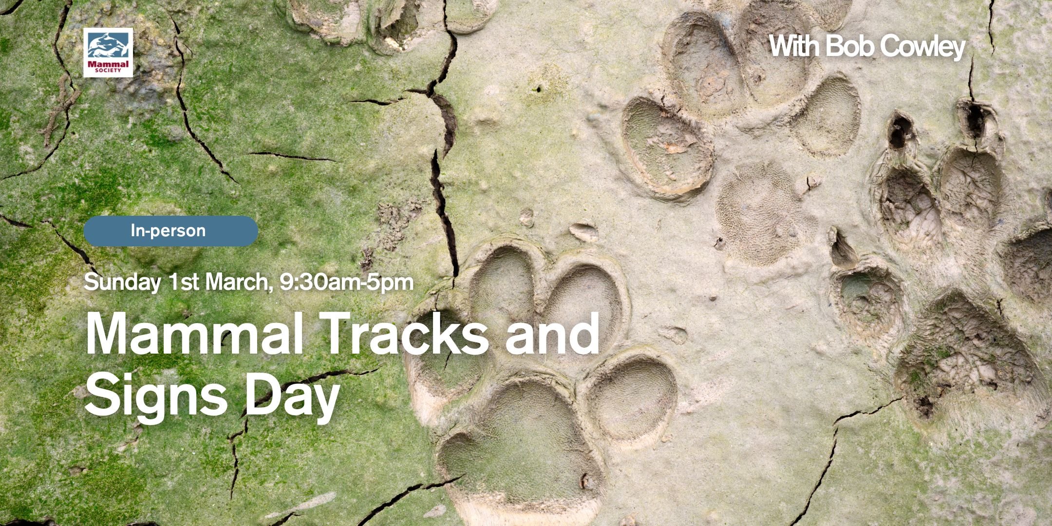 Mammal Tracks and Signs Day 