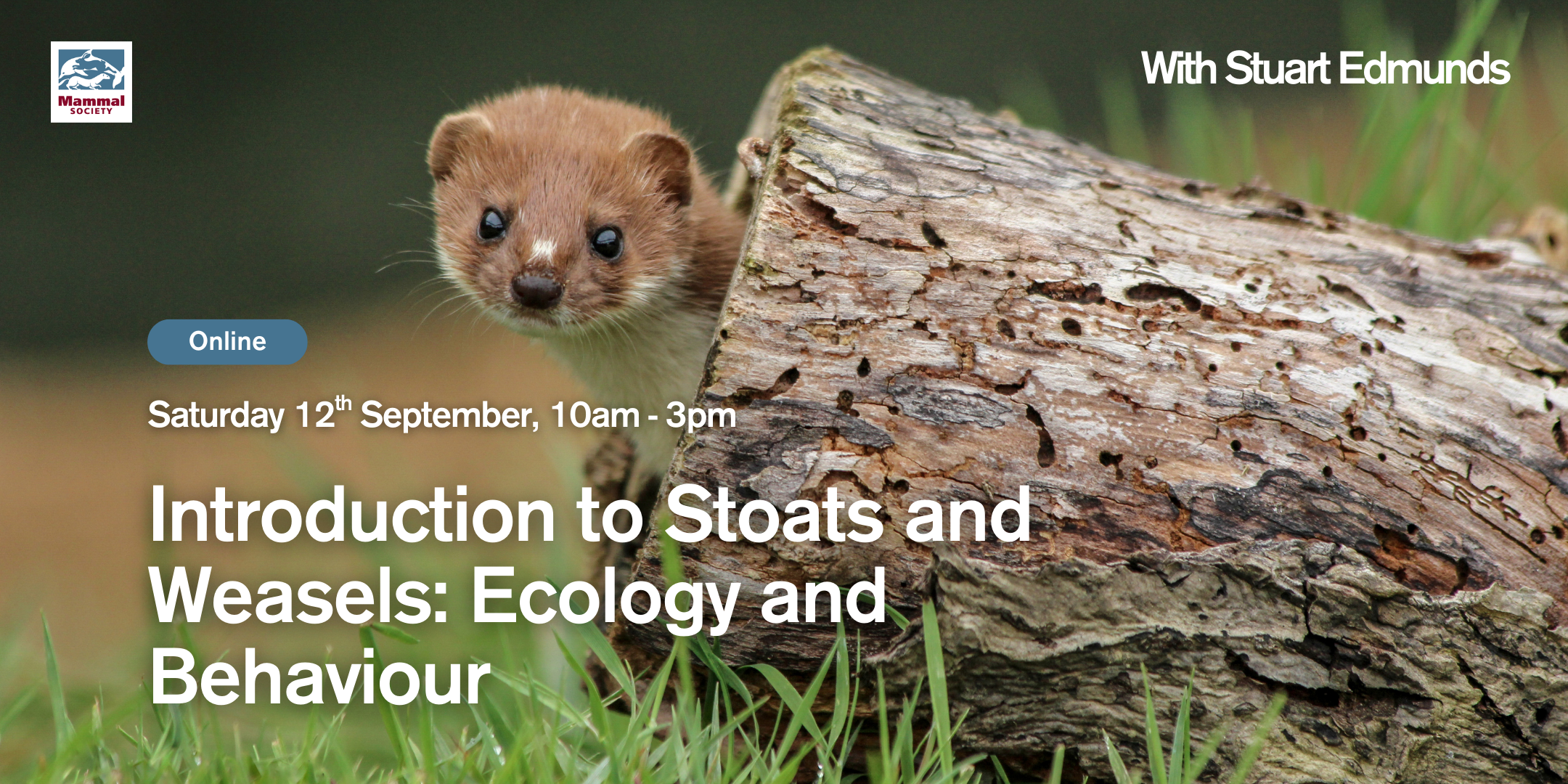 Introduction to Stoats and Weasels: Ecology and Behaviour (Online) 
