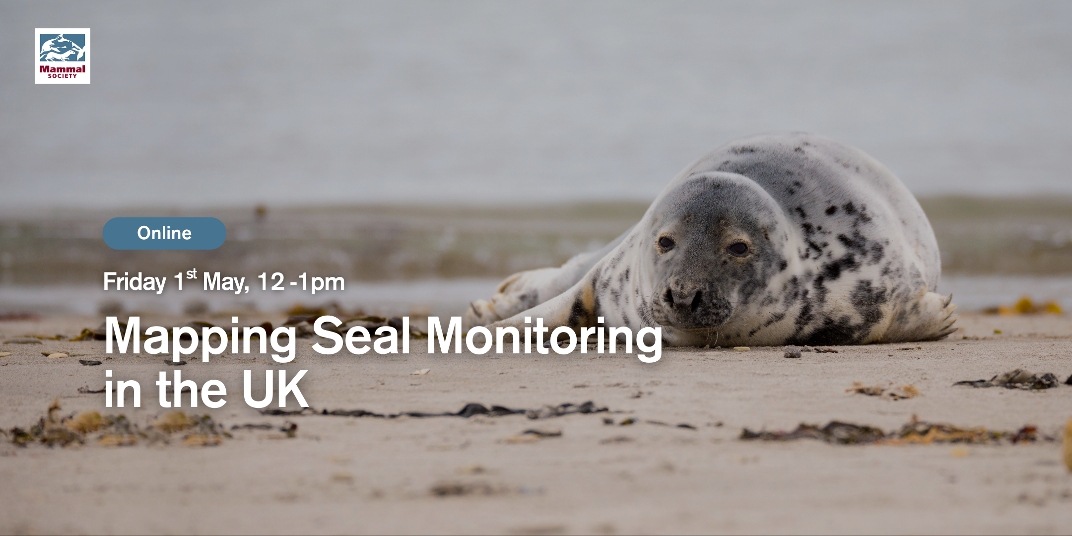 Mapping Seal Monitoring in the UK: Insights from the Seals Research Working Group Survey