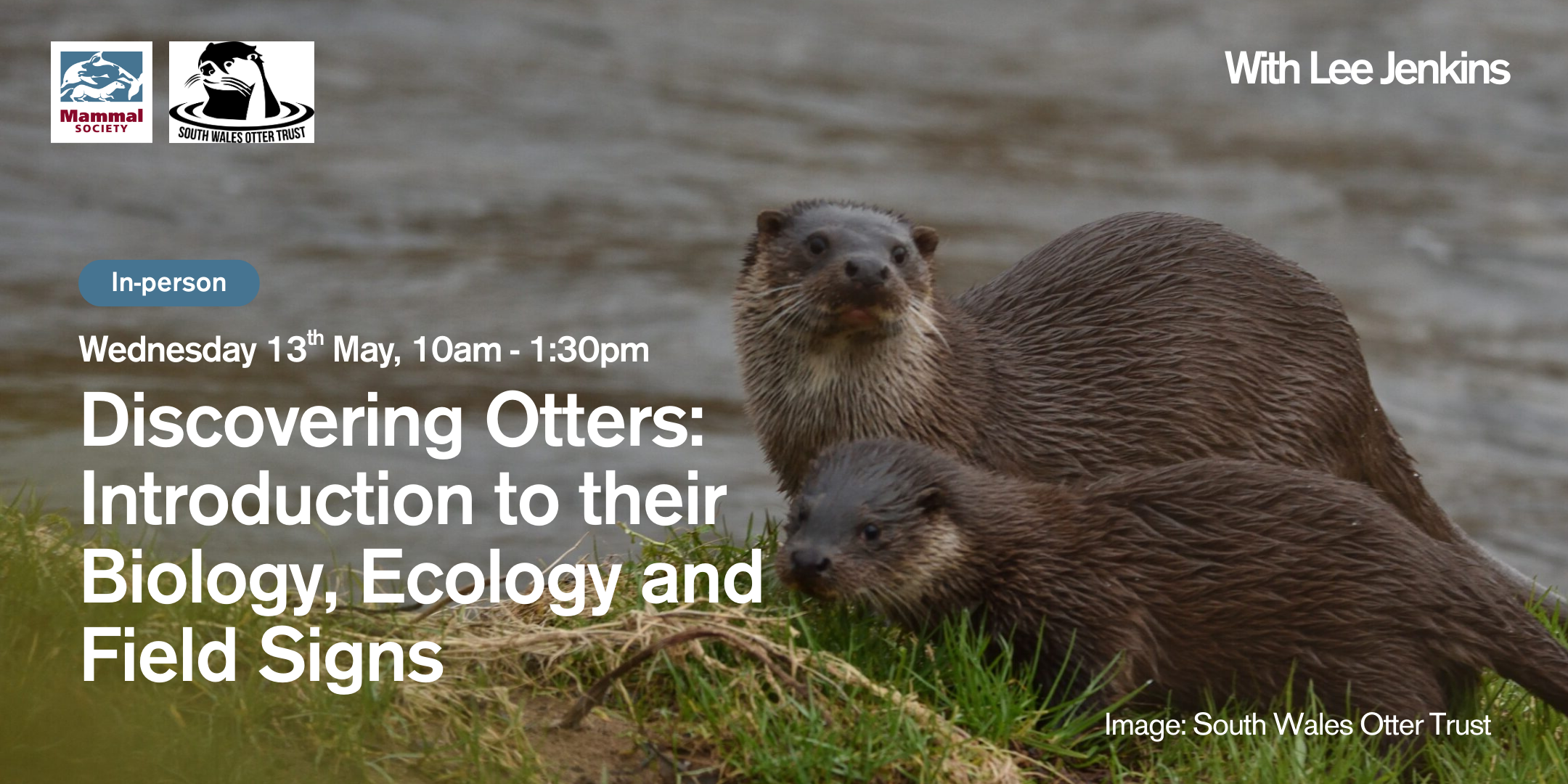 Discovering Otters: Introduction to their Biology, Ecology and Field Signs (in-person)