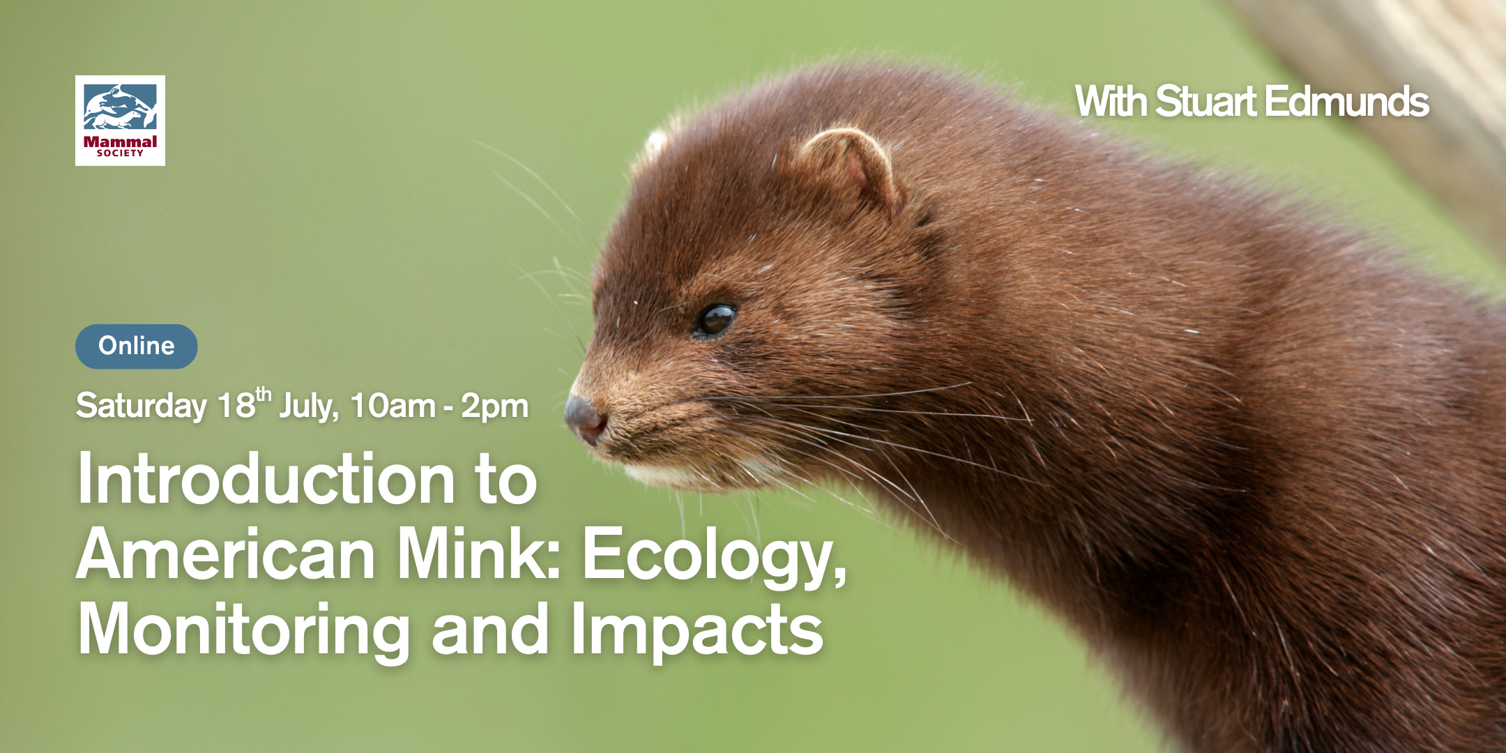 Introduction to American Mink: Ecology, Monitoring and Impacts (online) 