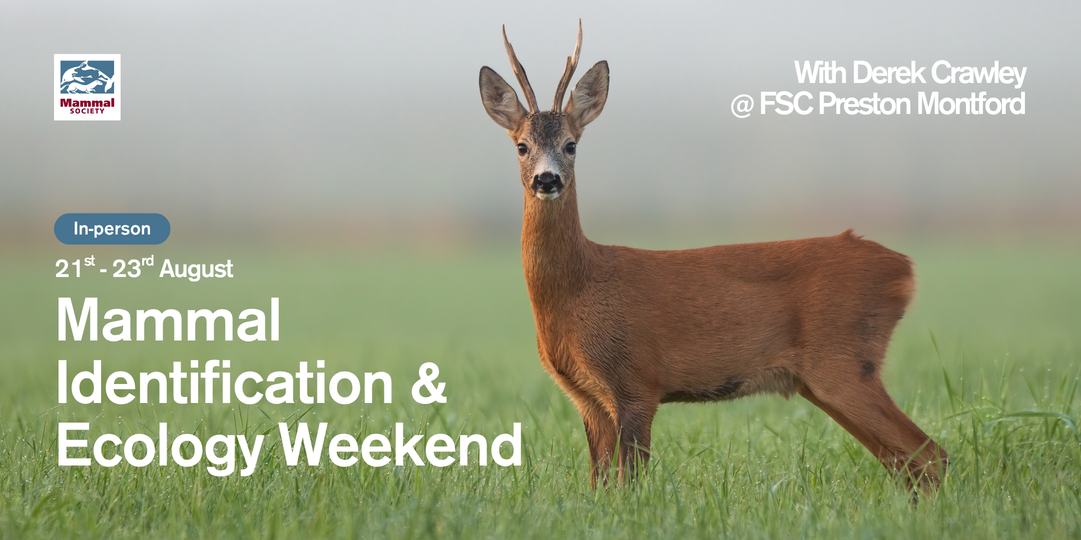 Mammal Identification and Ecology Weekend