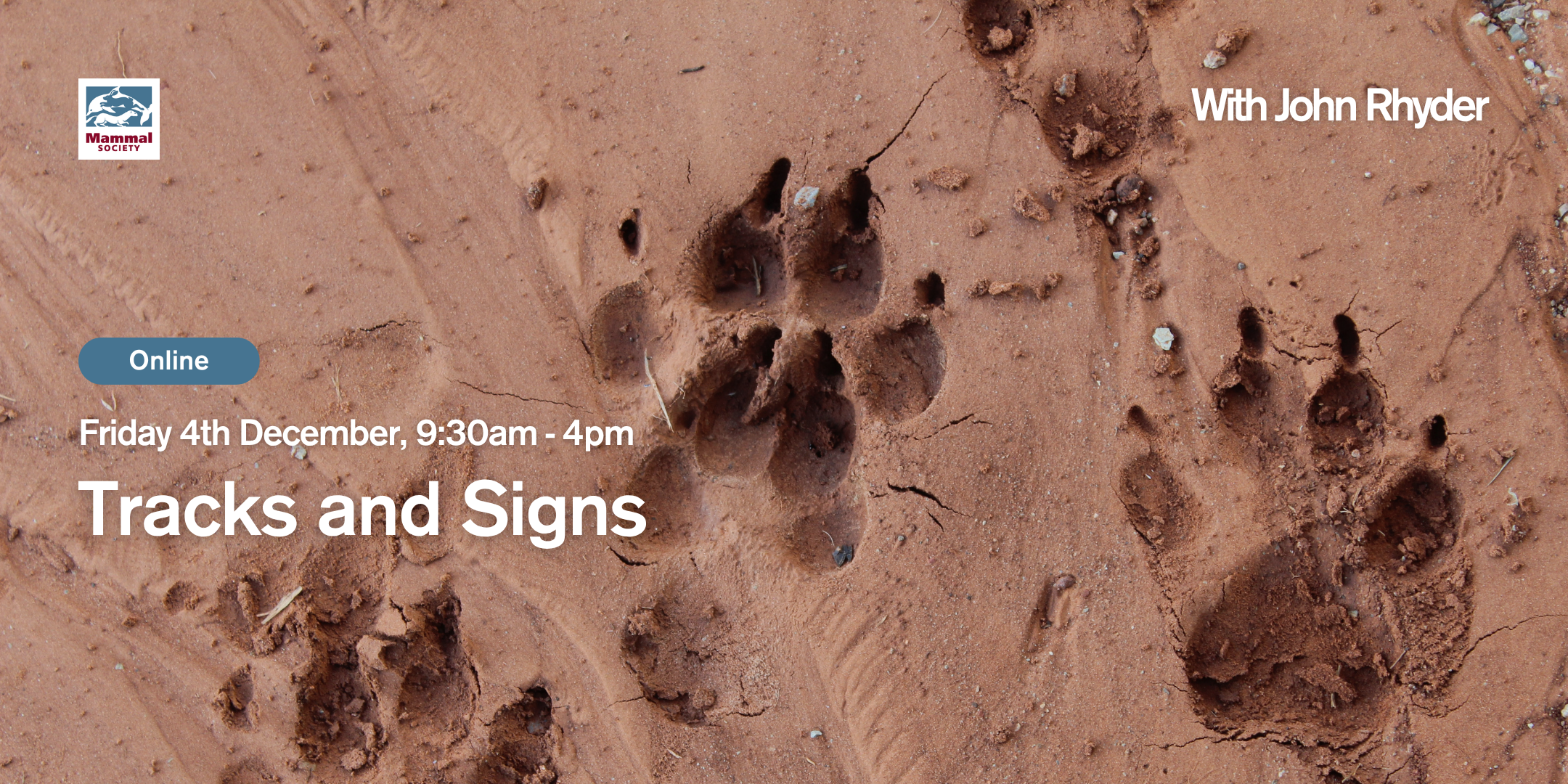 Tracks and Signs (online)