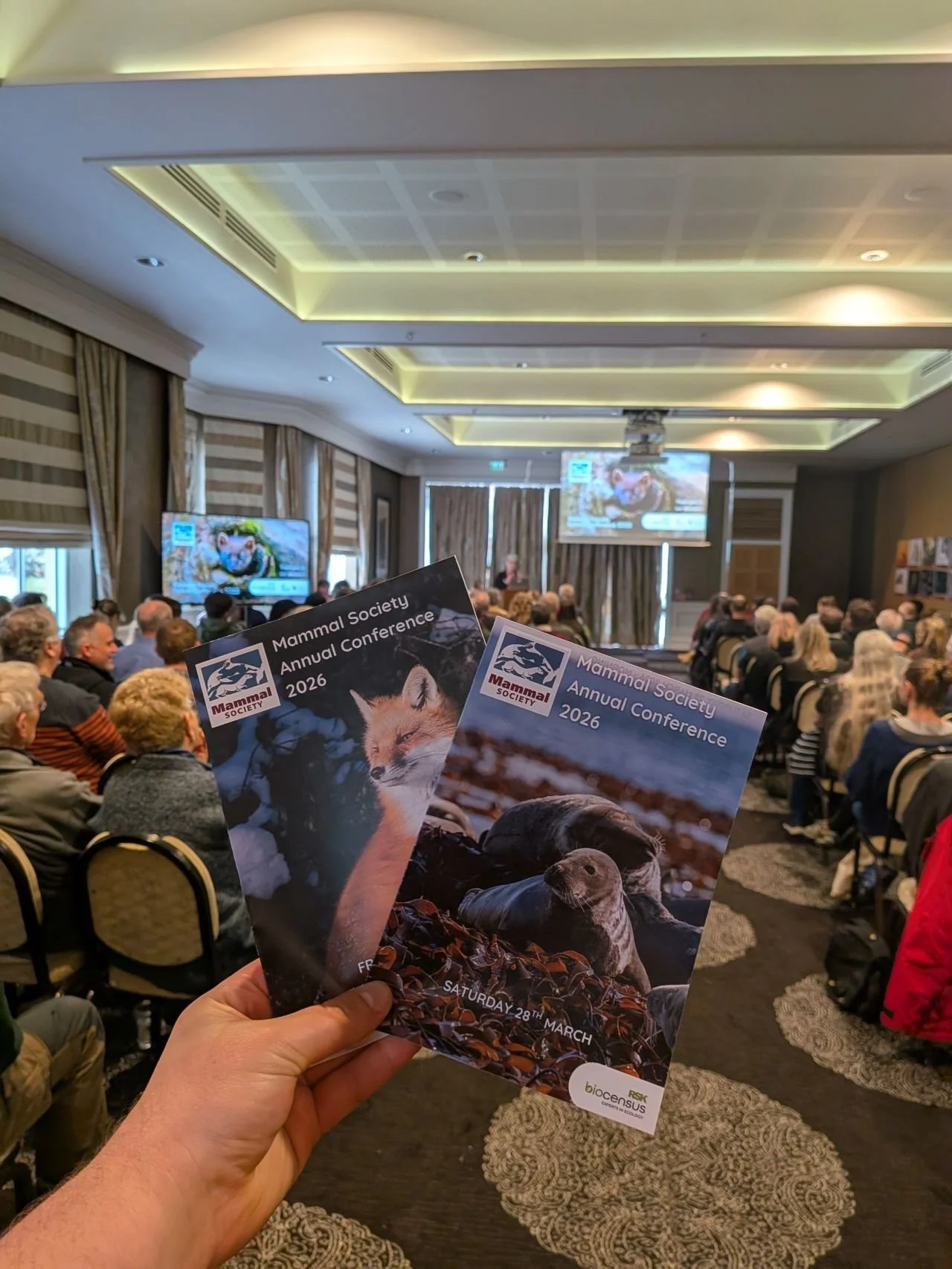 Exploring Inverness and the vast world of mammal research