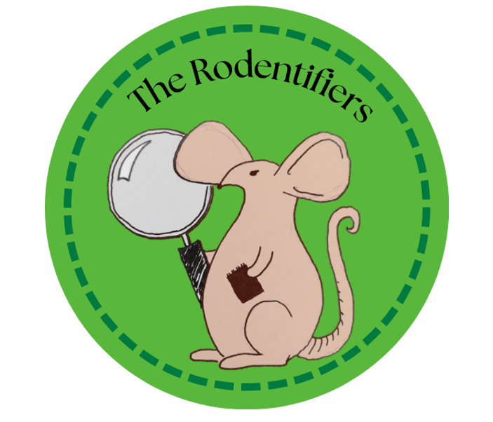 The University Mammal Challenge 2026: The Rodentifiers