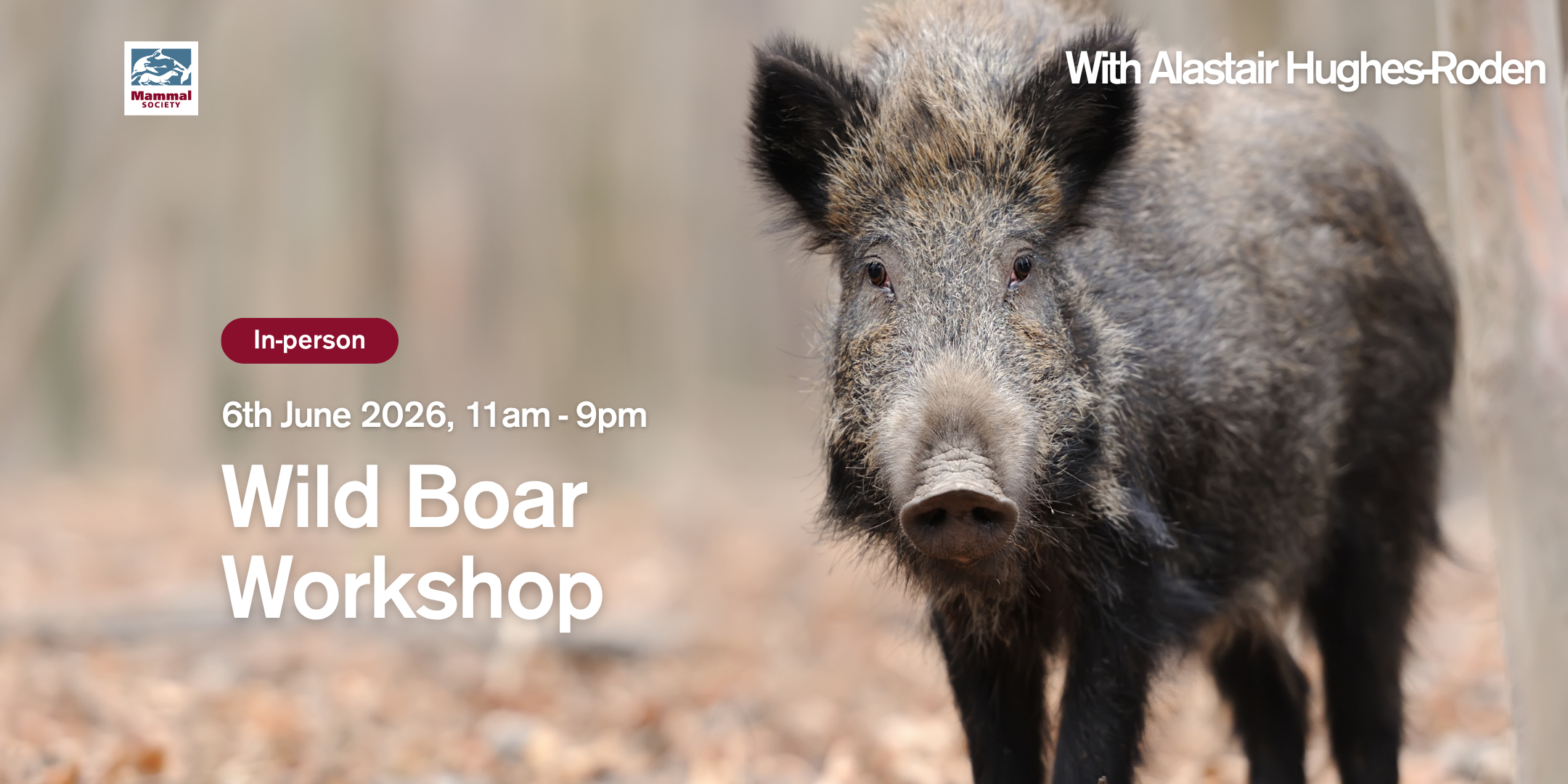 Wild Boar Workshop (in-person) 