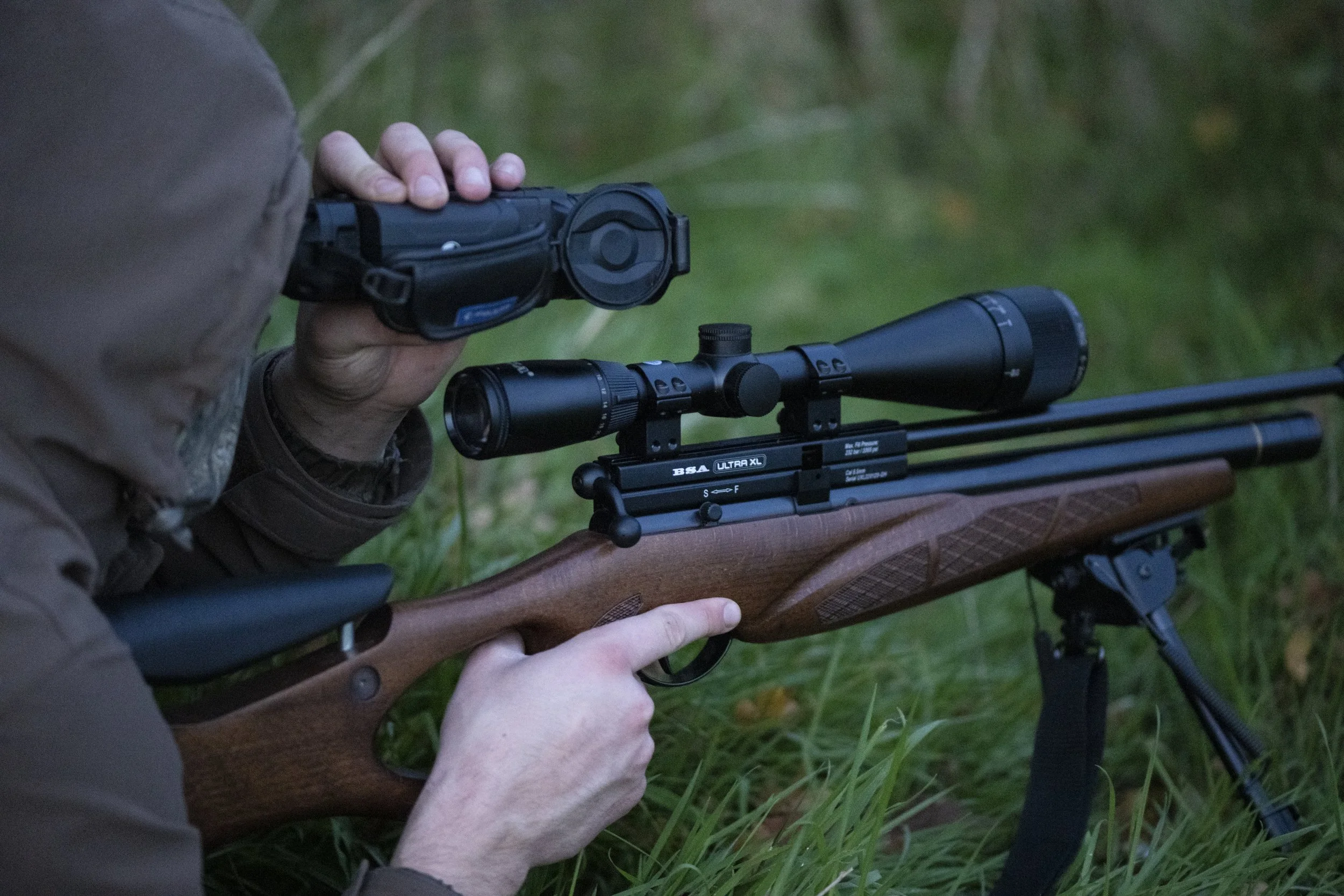 'The Badger Cull' - Ian Wood