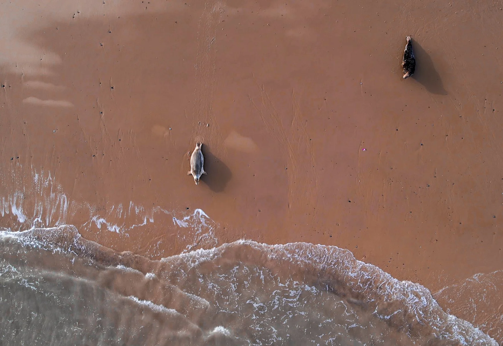 'Towards The Sea' - Paul Collins