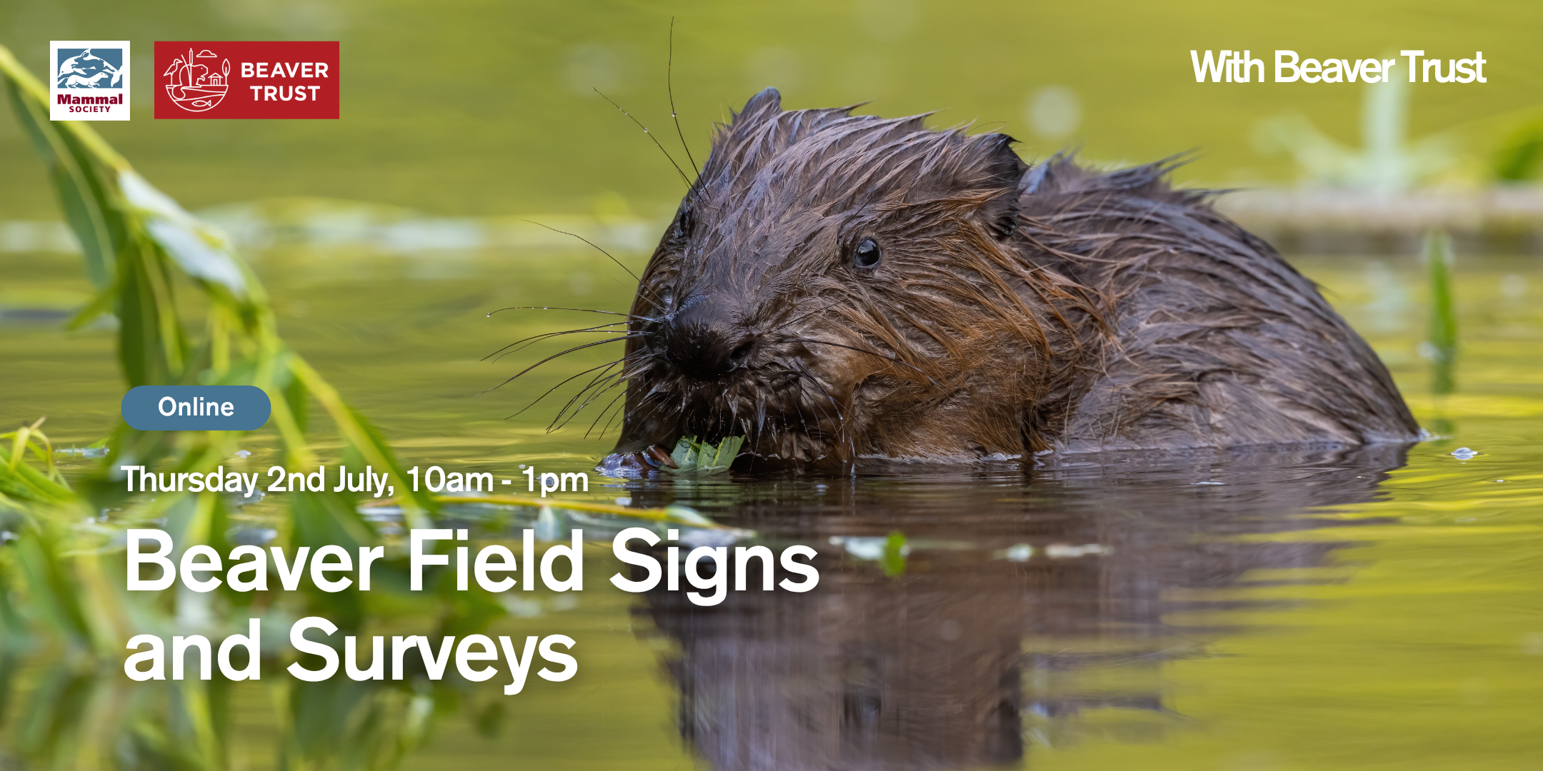 Beaver Field Signs and Surveys (online)