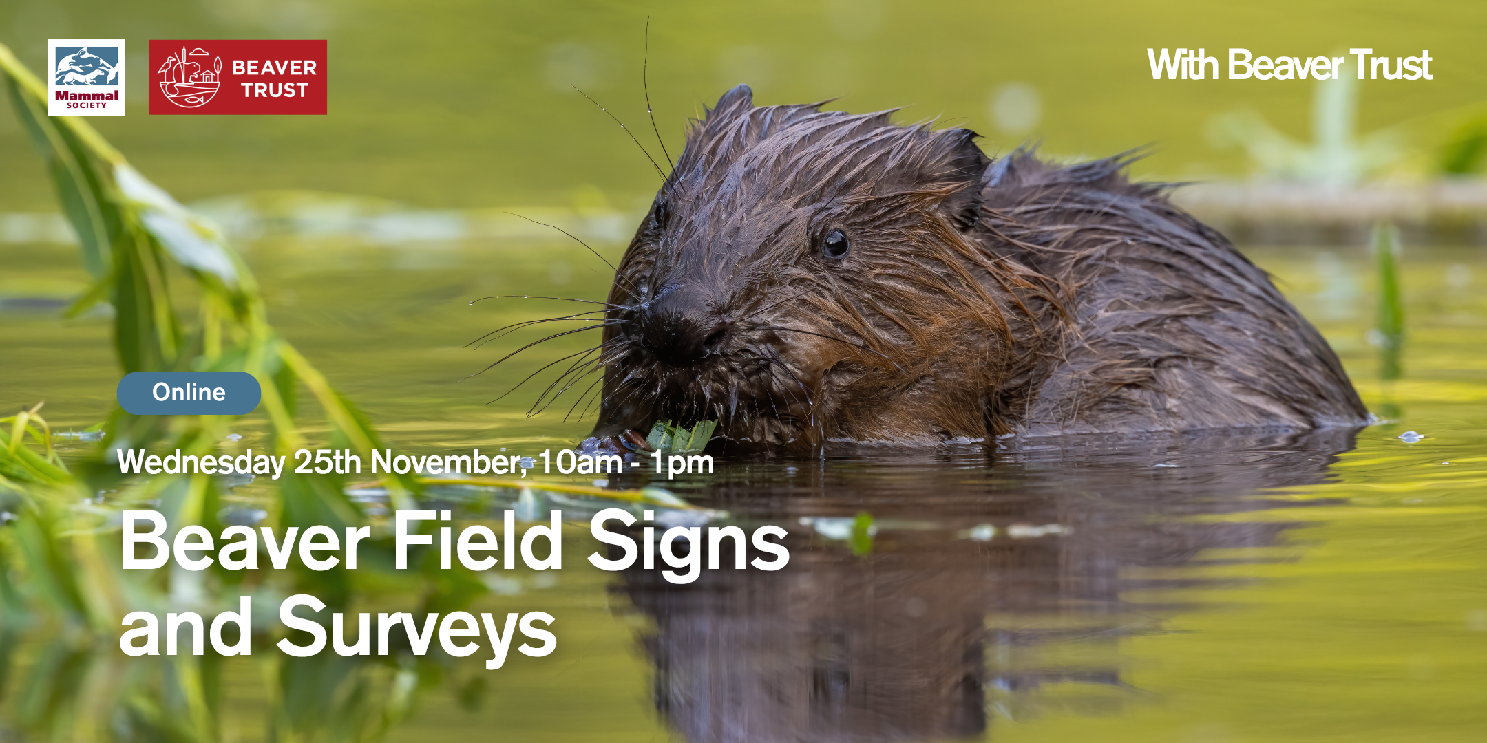 Beaver Field Signs and Surveys (online) 