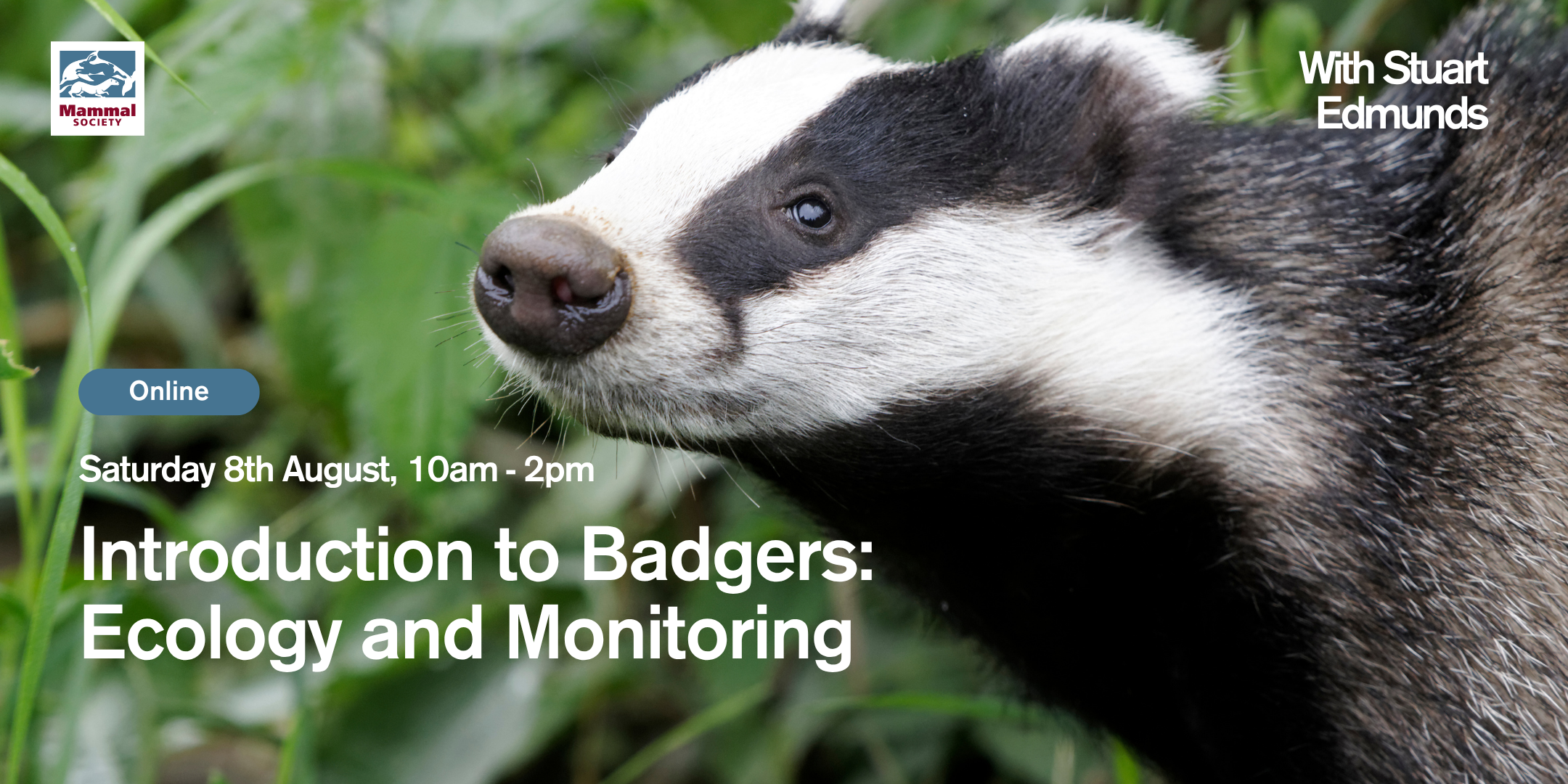 Introduction to Badgers: Ecology and Monitoring (online) 