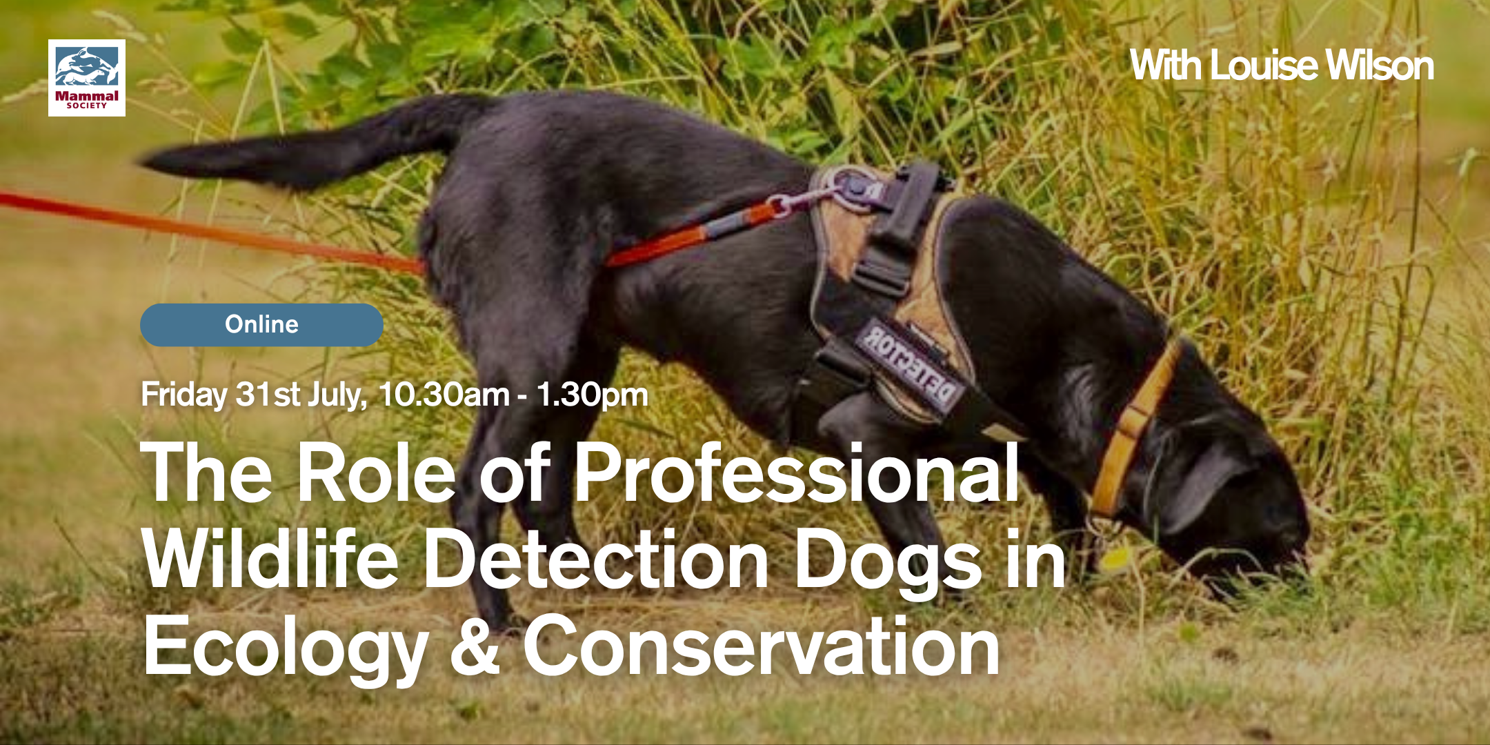 The Role of Professional Detection Dogs in Ecology: Practice &amp; Perspectives (online) 