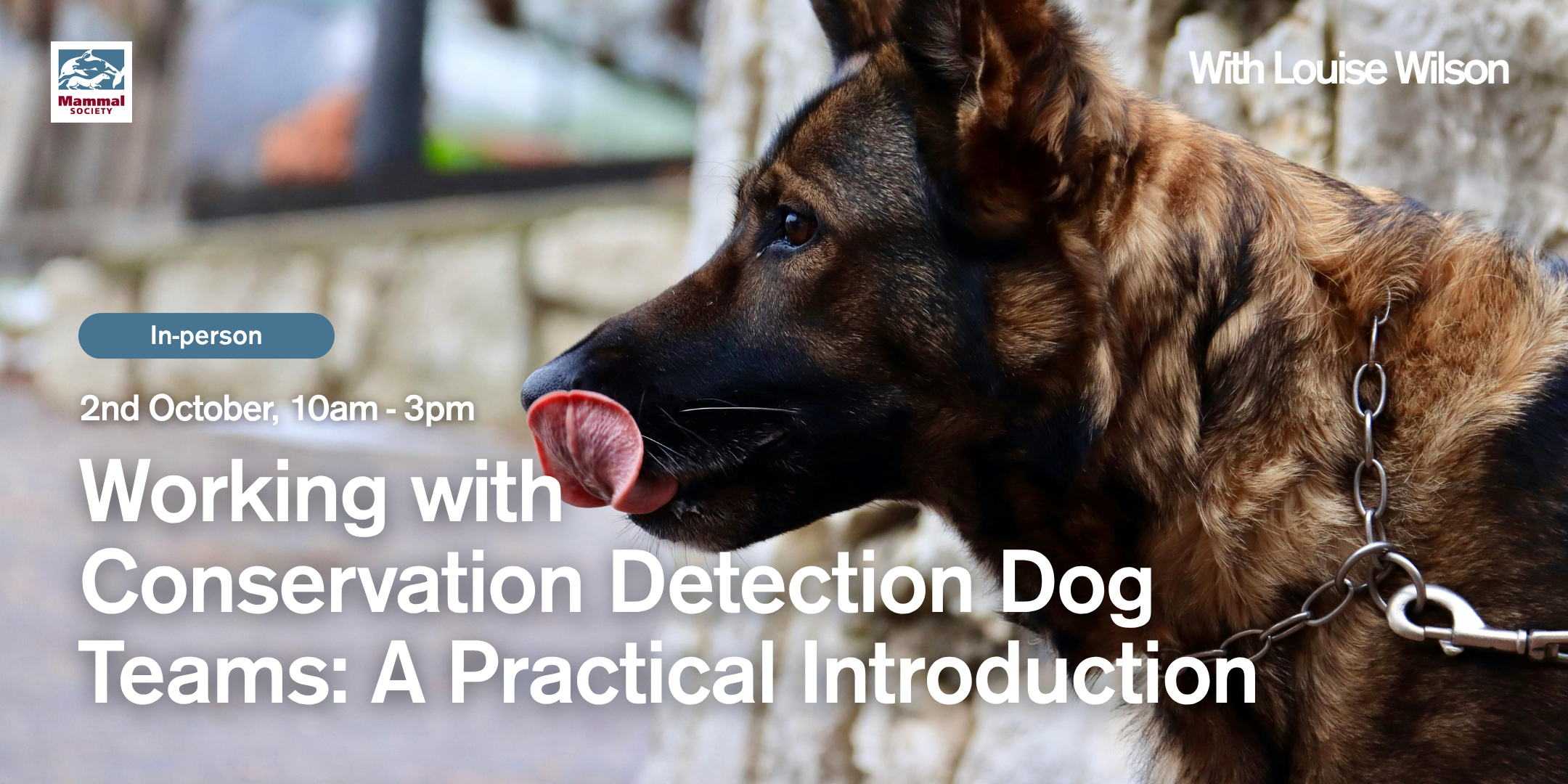 Working with Conservation Detection Dog Teams: A Practical Introduction (in-person) 